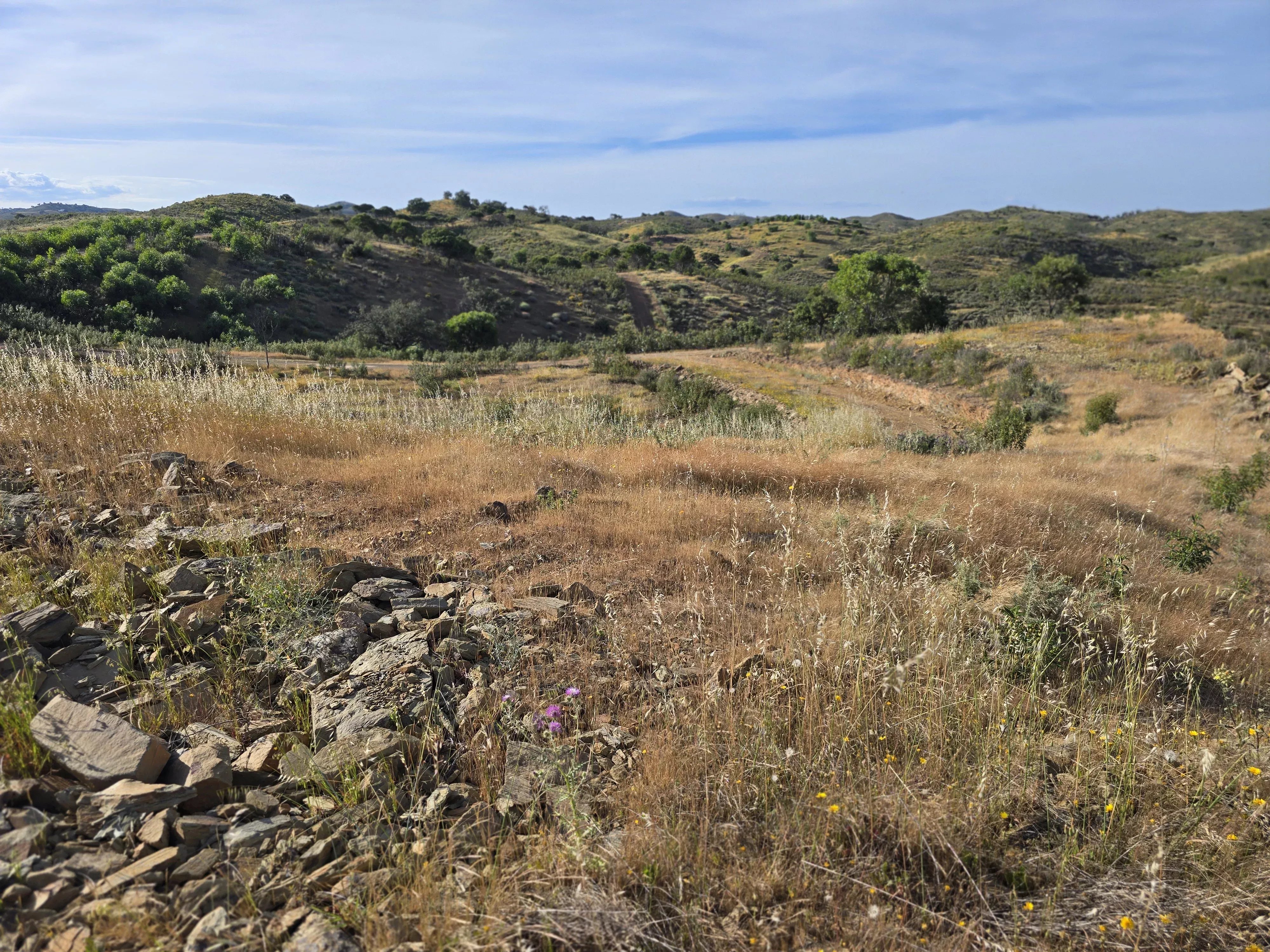Terreno rustico com vista mar com mais de um hectar