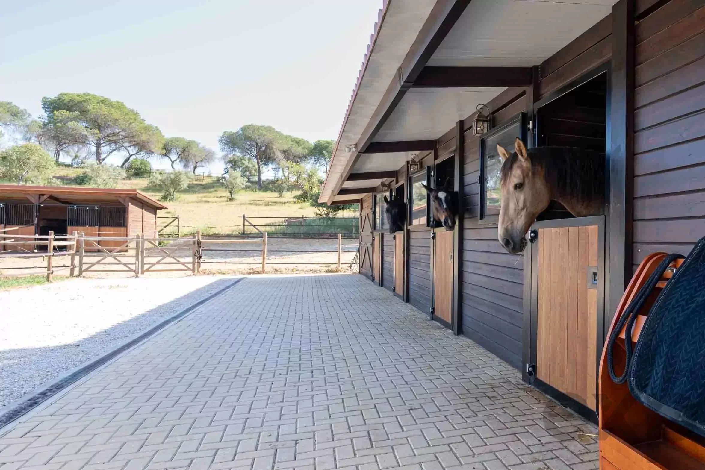 The most exclusive private property in the Golden Triangle, Almancil 87095477 image 26