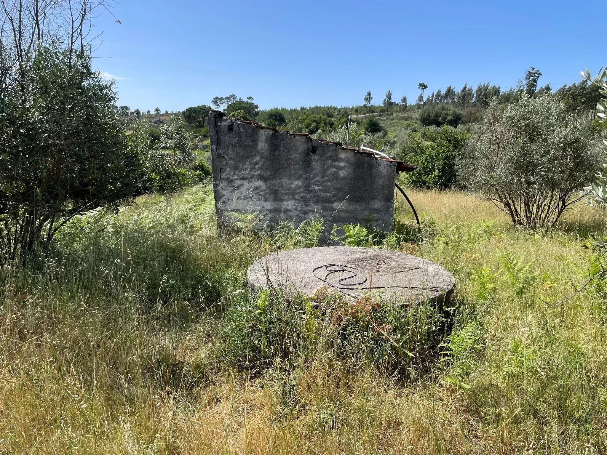 Terreno à venda em Mangualde, Mesquitela e Cunha Alta, 16000 m²
