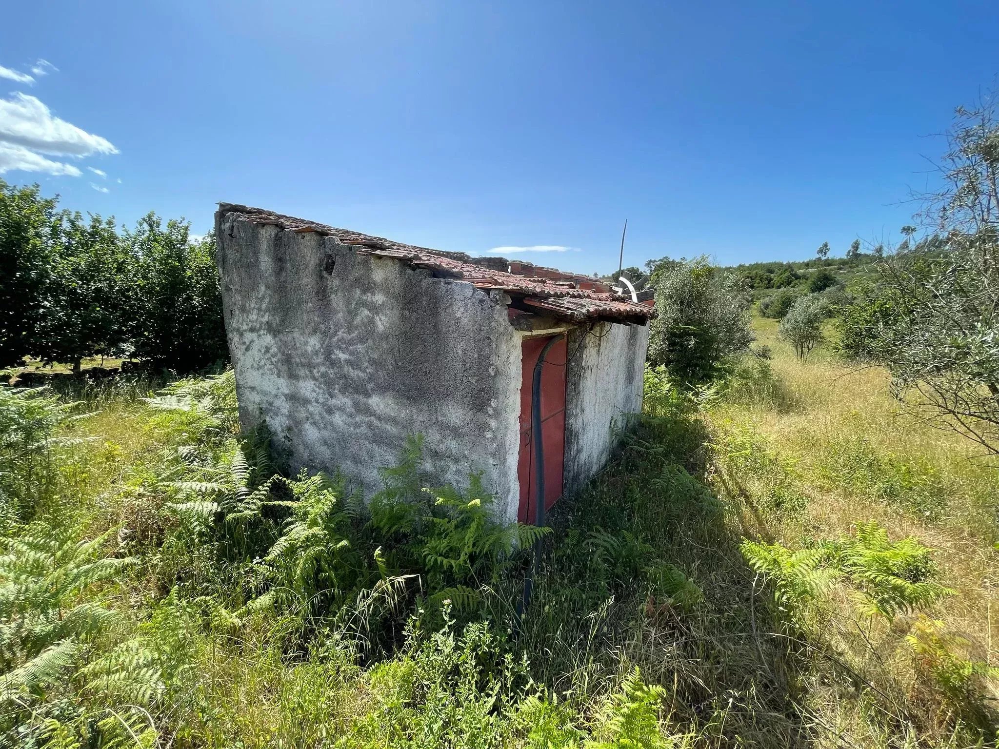 Terreno à venda em Mangualde, Mesquitela e Cunha Alta, 16000 m²