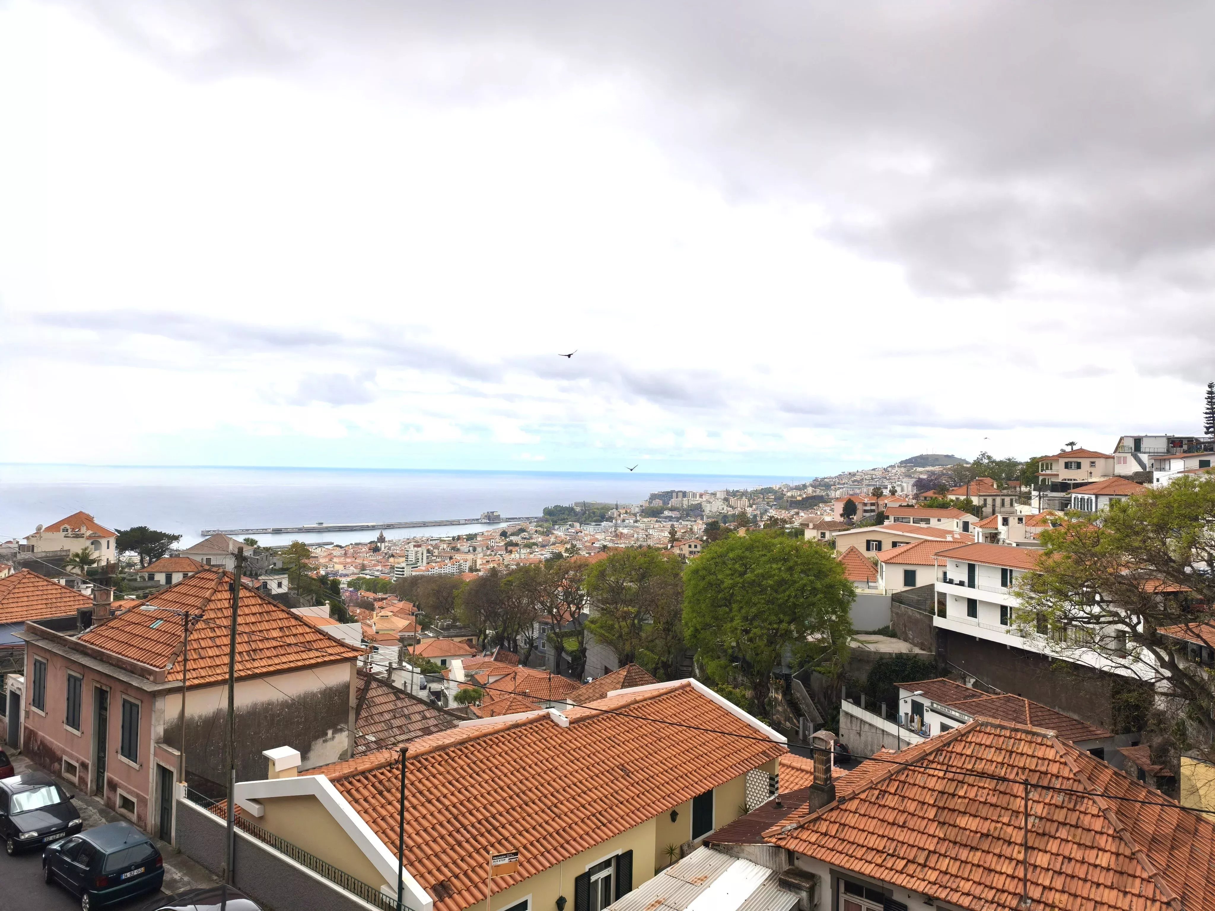 Palacete Histórico de Charme Único no Funchal