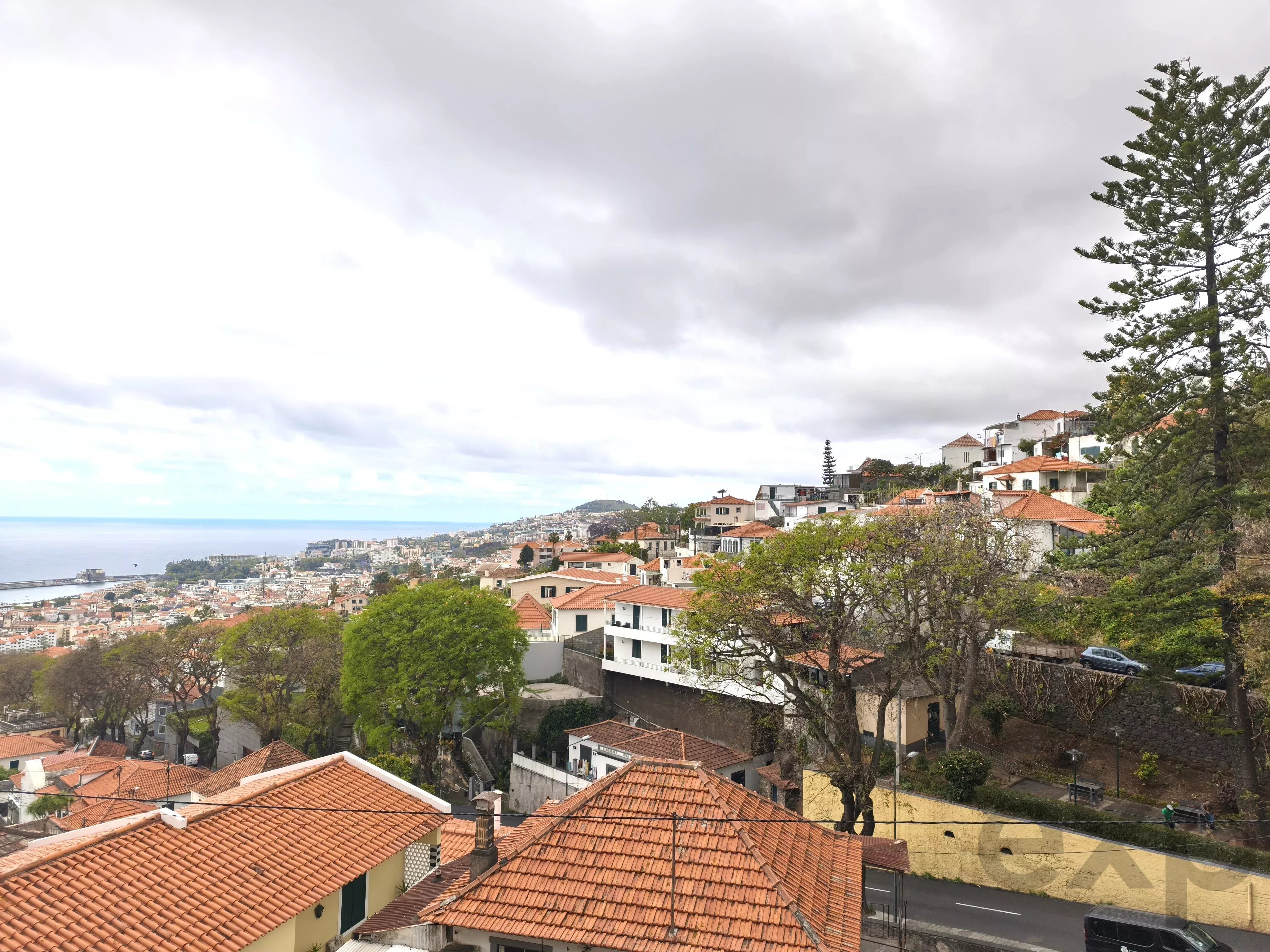 Palacete Histórico de Charme Único no Funchal