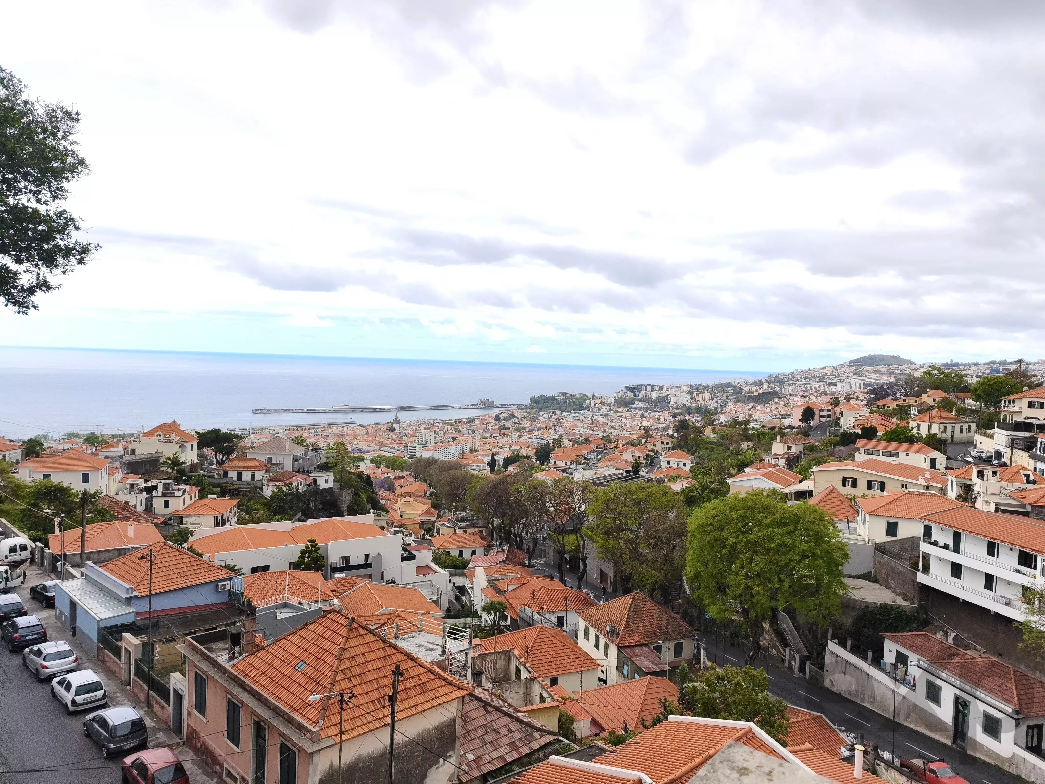 Palacete Histórico de Charme Único no Funchal