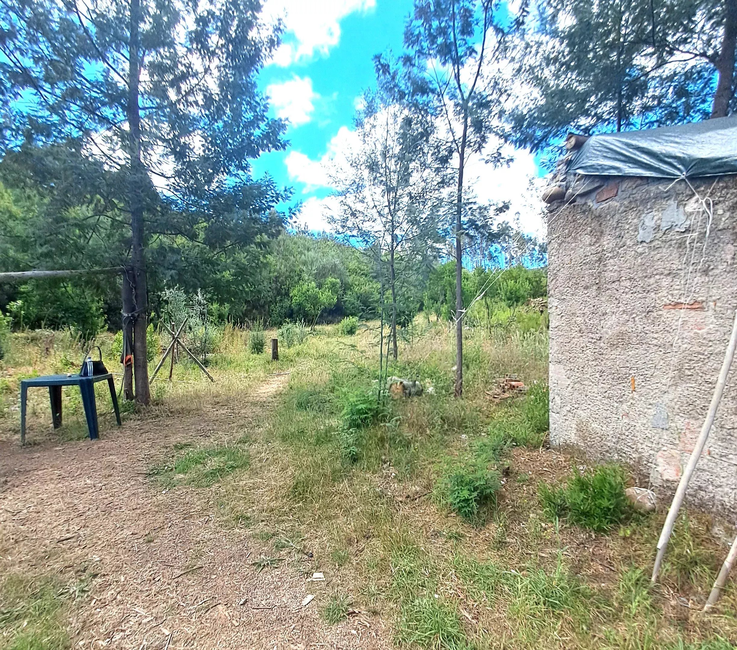 Terreno à venda em São Martinho da Cortiça, Ponte de Mucelas, 3300-360 São Martinho da Cortiça, 4300 m²