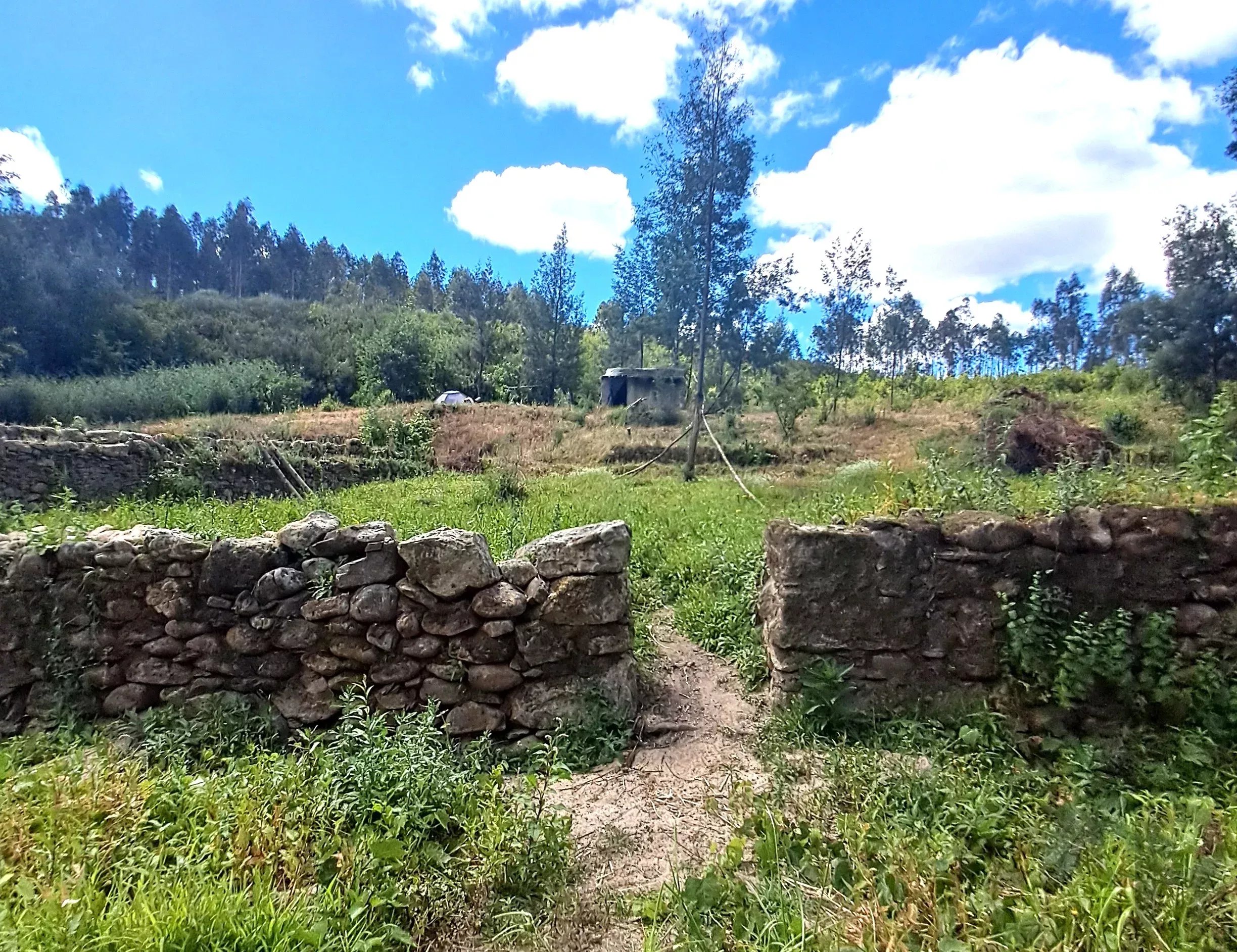 Terreno à venda em São Martinho da Cortiça, Ponte de Mucelas, 3300-360 São Martinho da Cortiça, 4300 m²