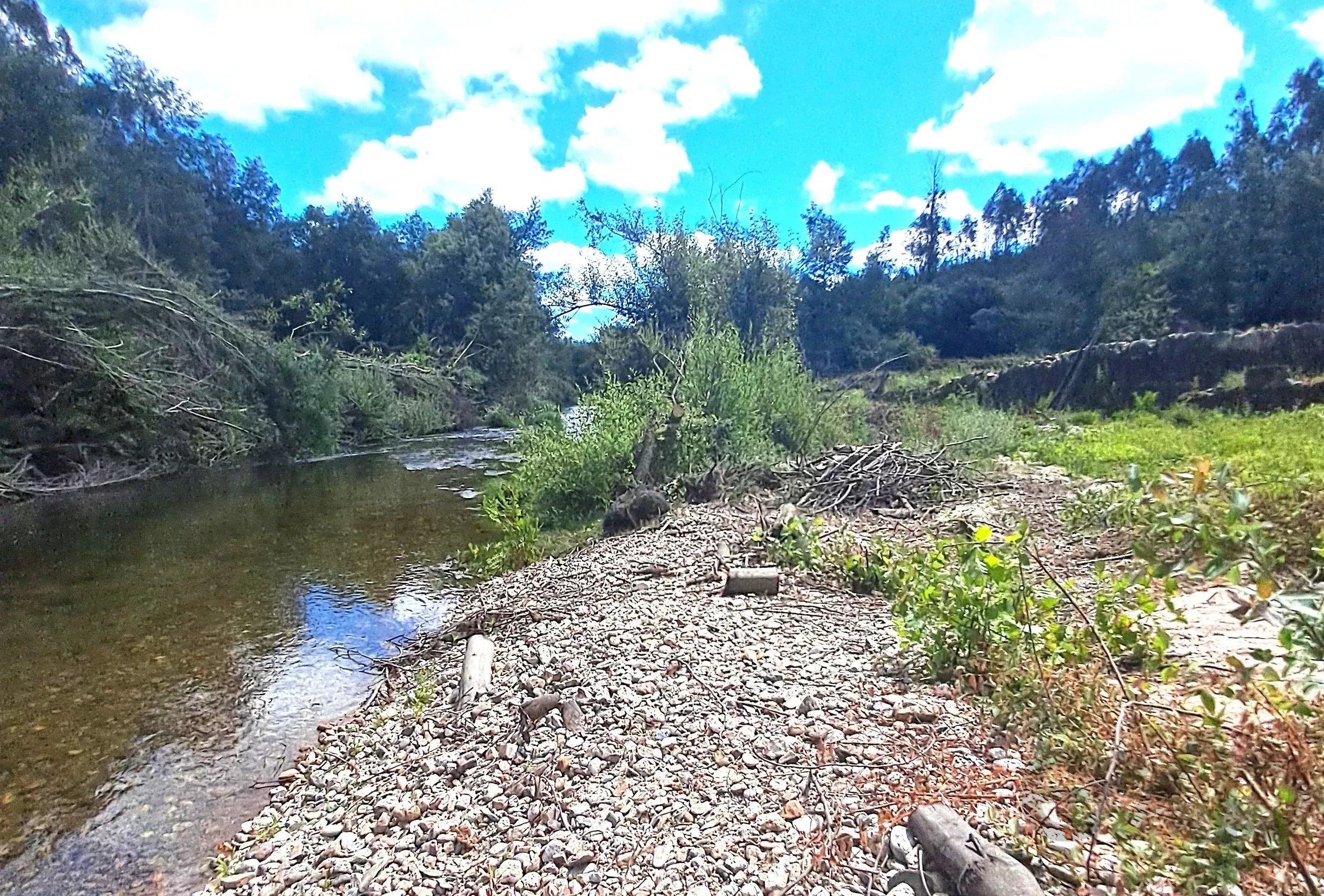 Terreno à venda em São Martinho da Cortiça, Ponte de Mucelas, 3300-360 São Martinho da Cortiça, 4300 m²