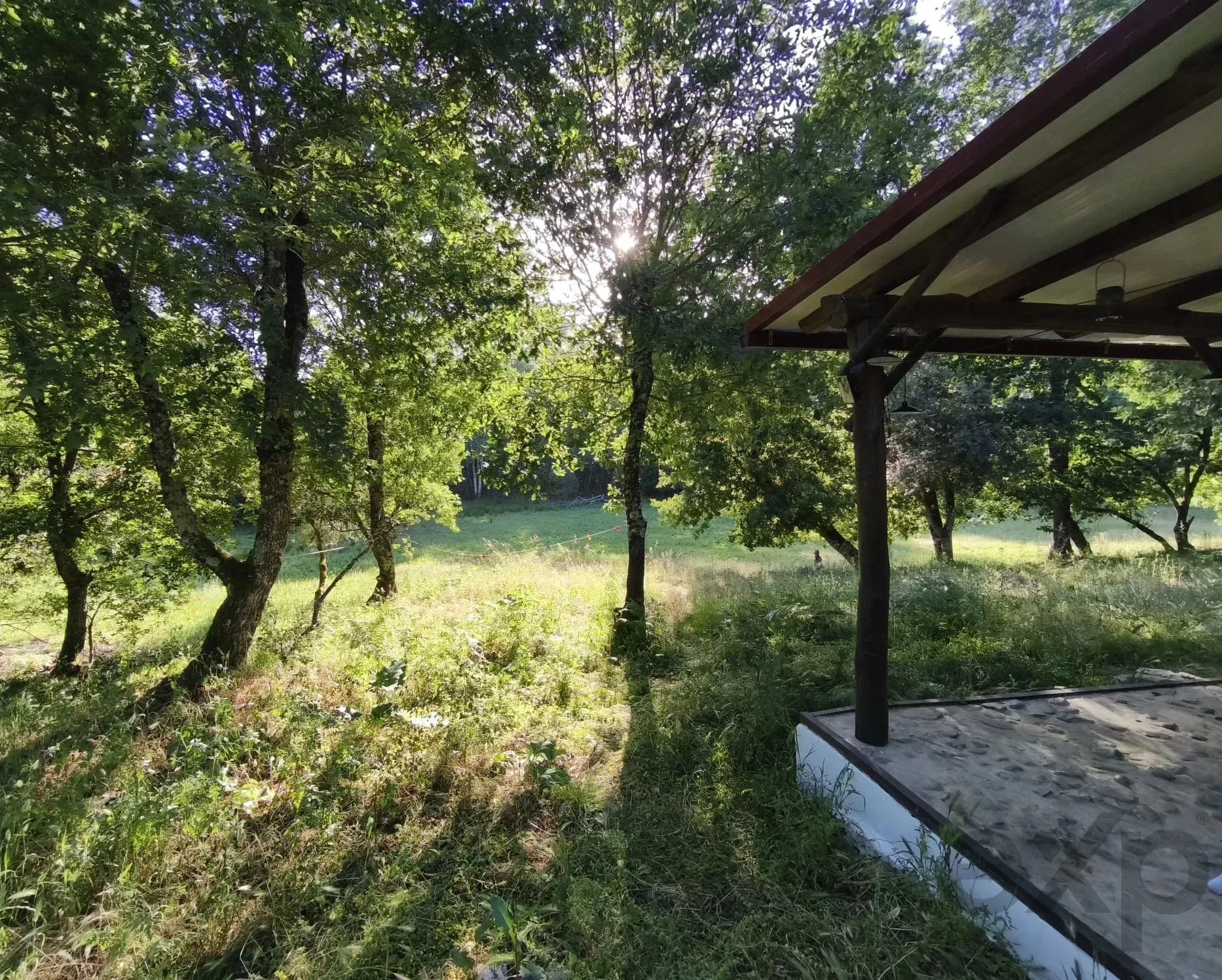 Tábua - Casinha de Xisto Off-Grid com 6220 m² de Terreno