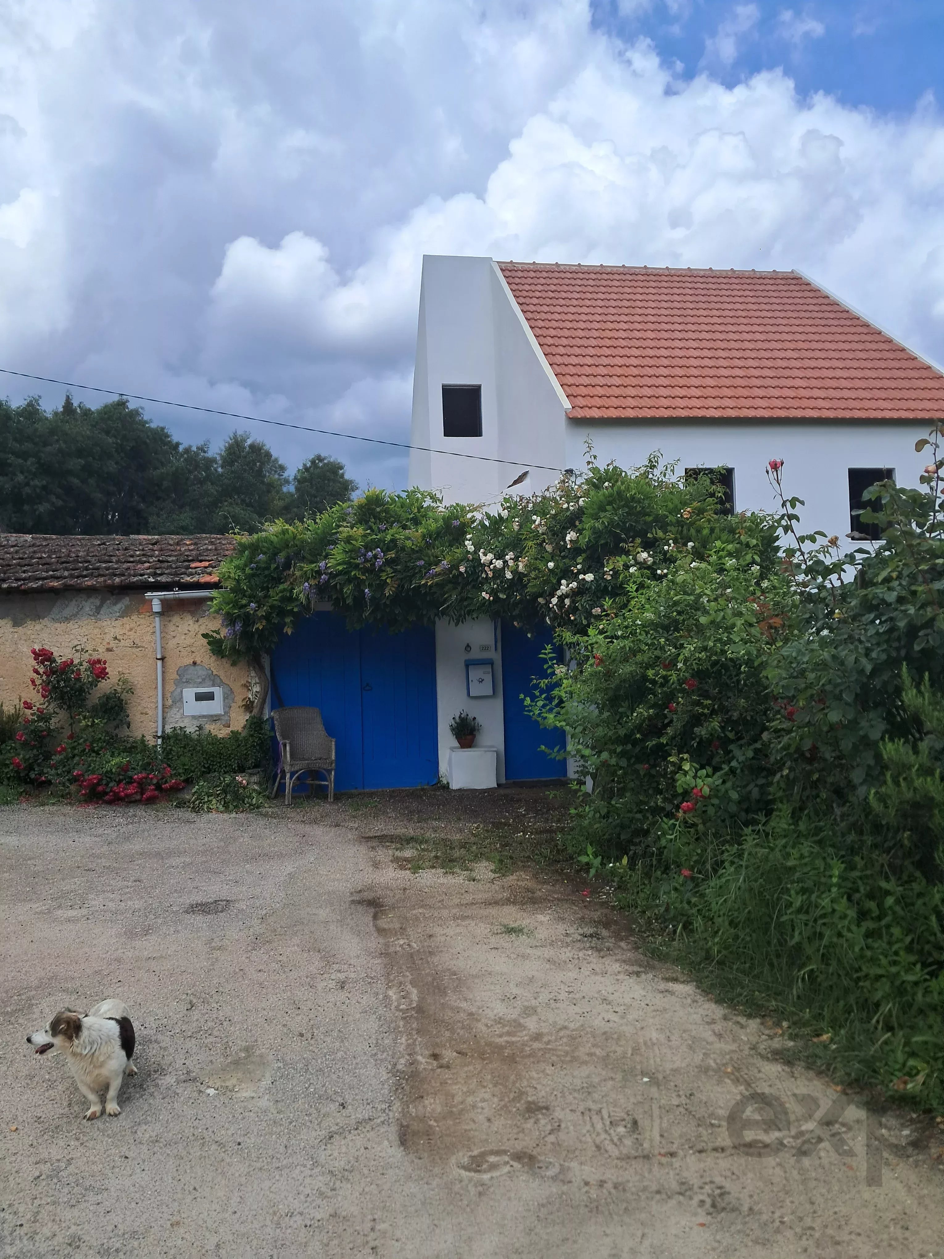 Quinta da Meda — Exclusive Refuge with Riverside Land 2 Minutes from Fluvial Beach 4