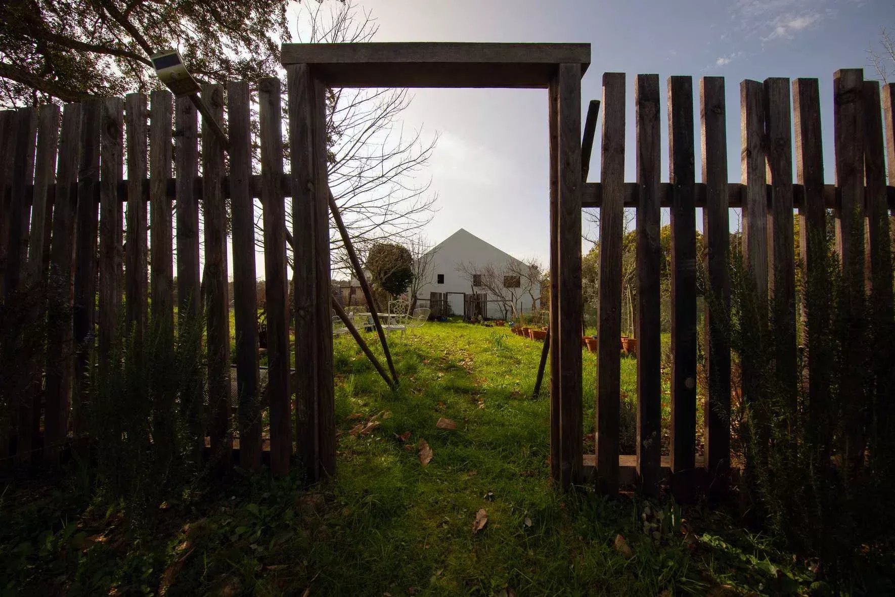 Quinta da Meda — Exclusive Refuge with Riverside Land 2 Minutes from Fluvial Beach 3