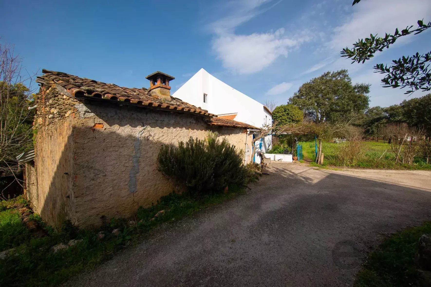 Quinta da Meda — Exclusive Refuge with Riverside Land 2 Minutes from Fluvial Beach 5
