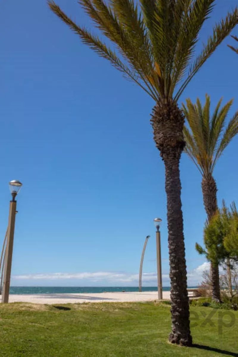 Modern sea‑front apartment in Quarteira 87155806 image 36