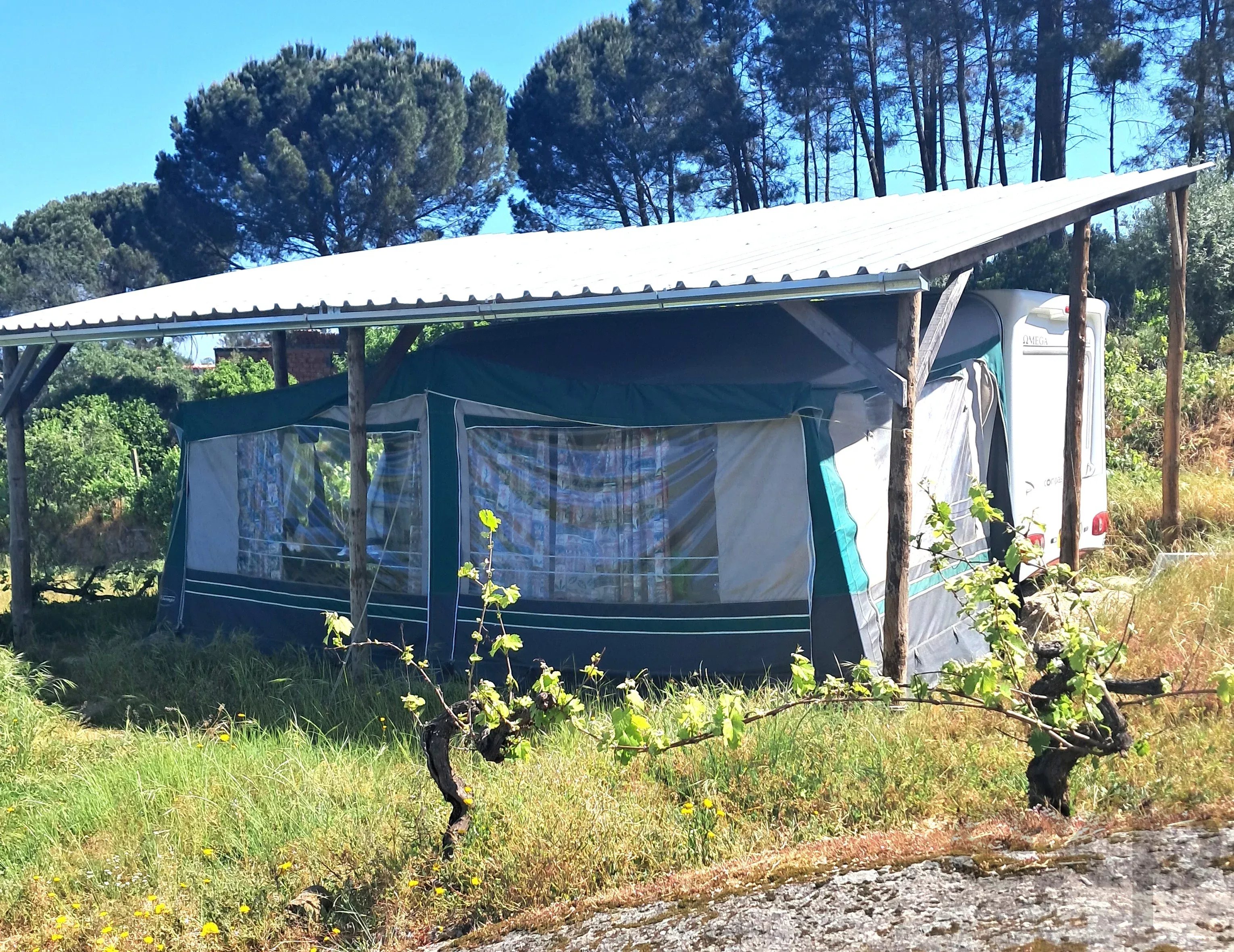 Terreno à venda em Midões, Rua Quinta do Cemitério, 3420-201 Midões, 9204 m²