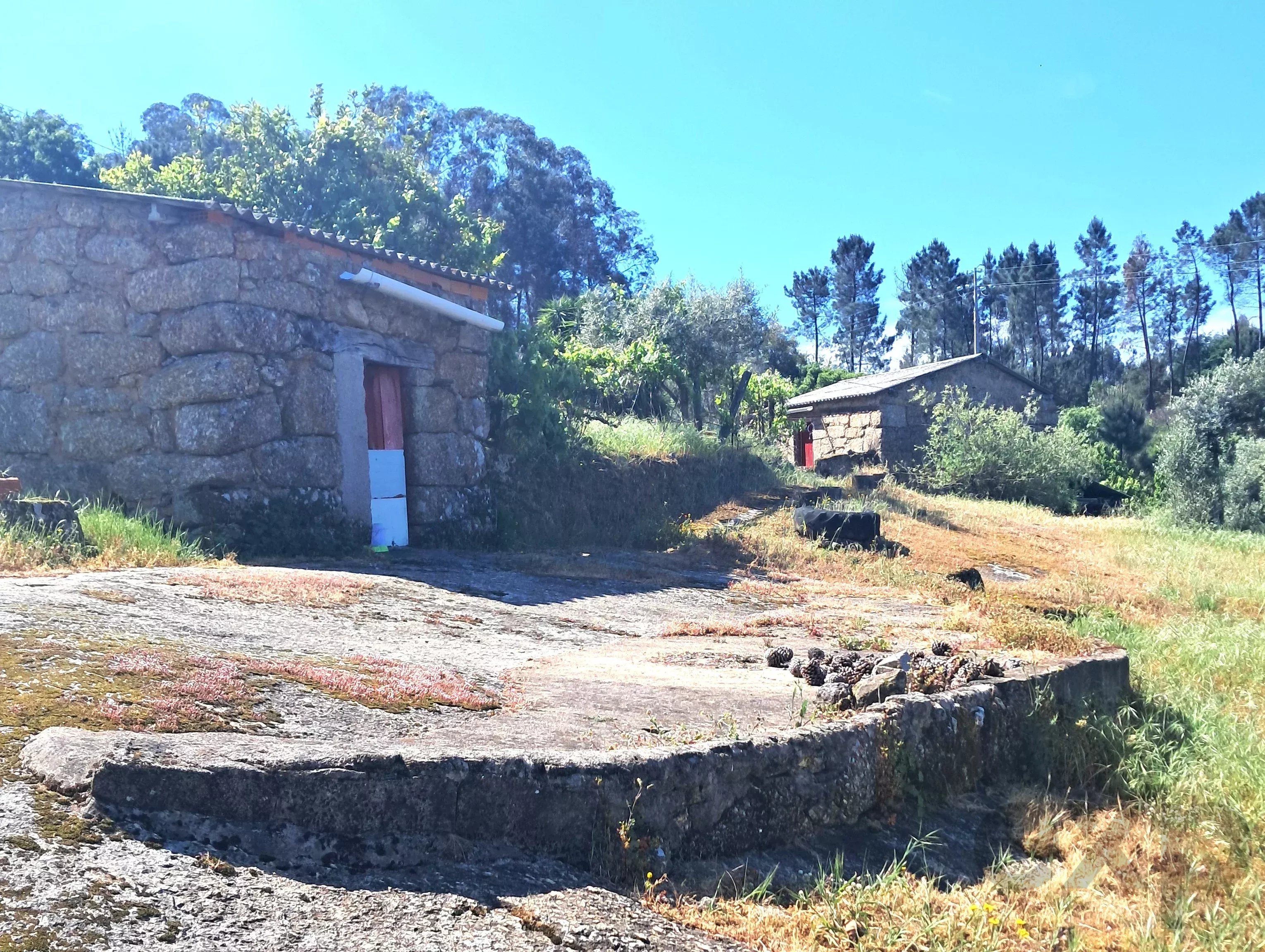 Terreno à venda em Midões, Rua Quinta do Cemitério, 3420-201 Midões, 9204 m²