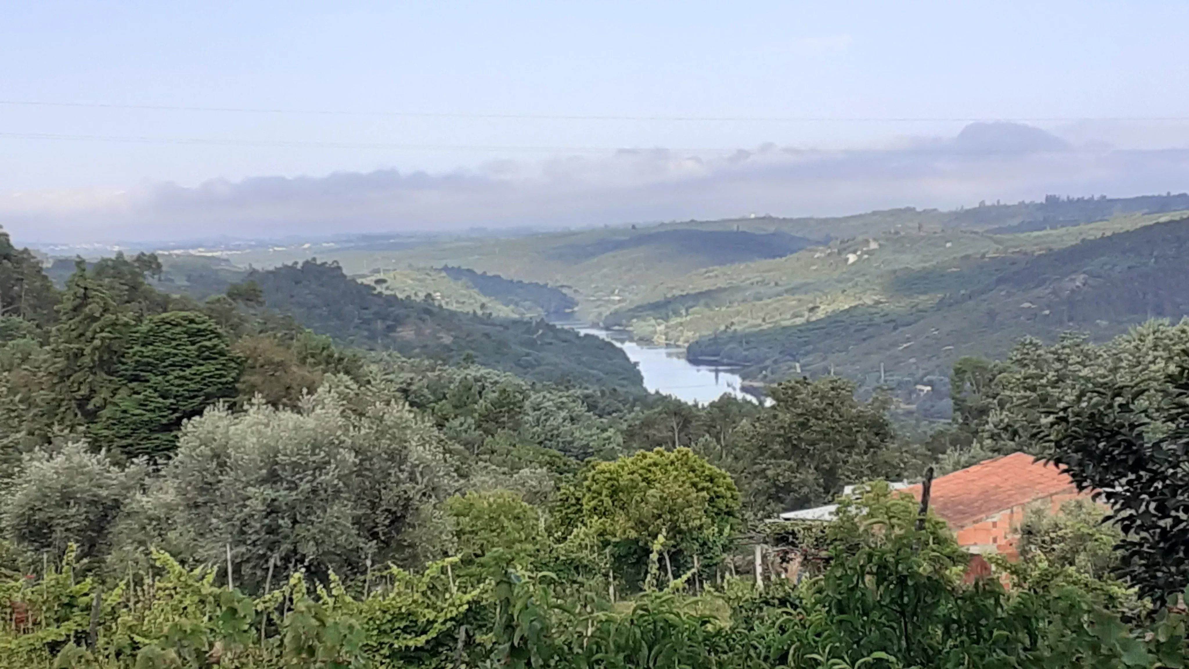 Vistas para o Mondego | 1 Hectare | Ruína em Granito | Um Refúgio de Verdade