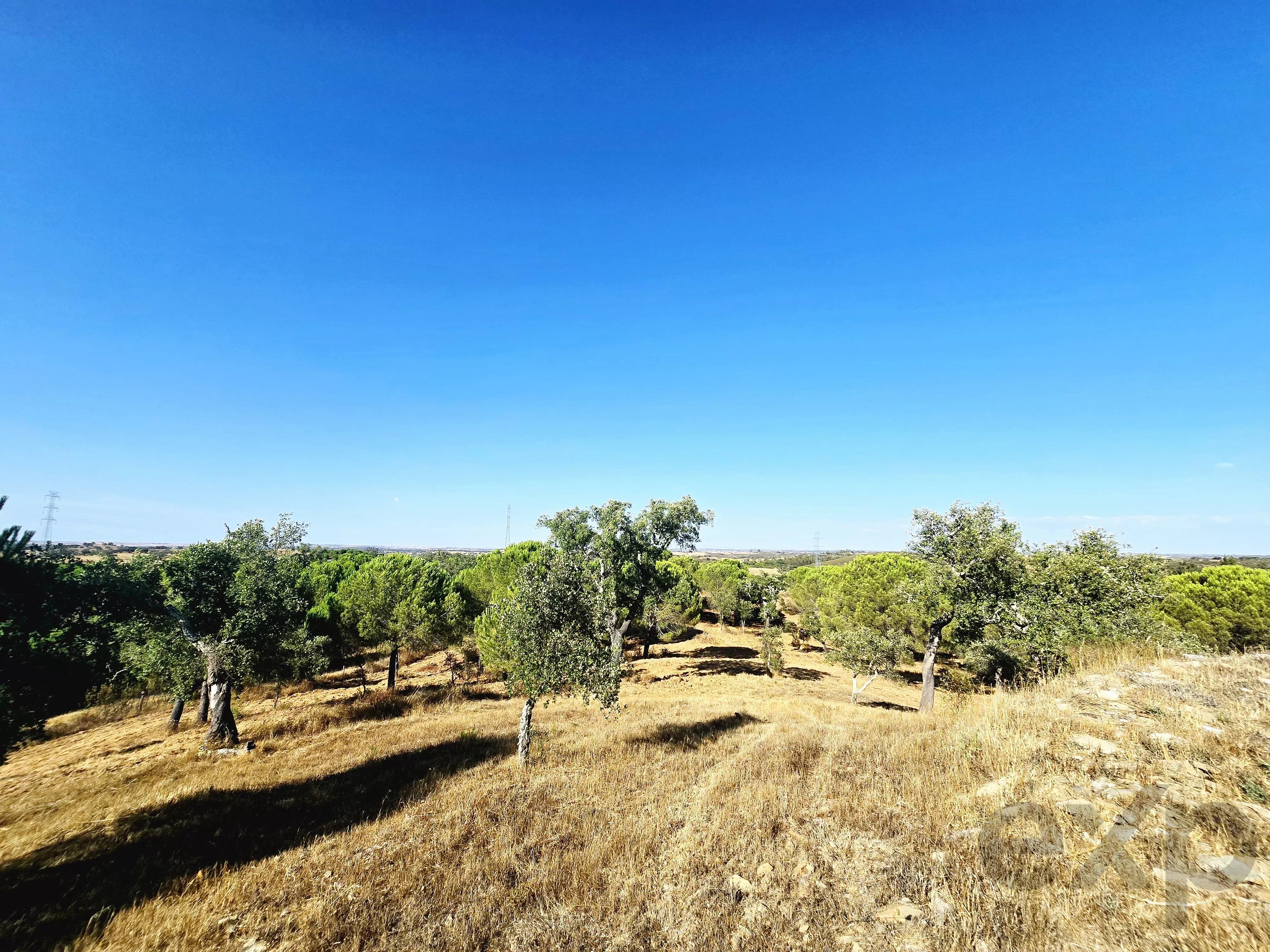 Your Sanctuary of Excellence: Exclusive Estate Over 10 ha with Panoramic Views 87216310 image 35