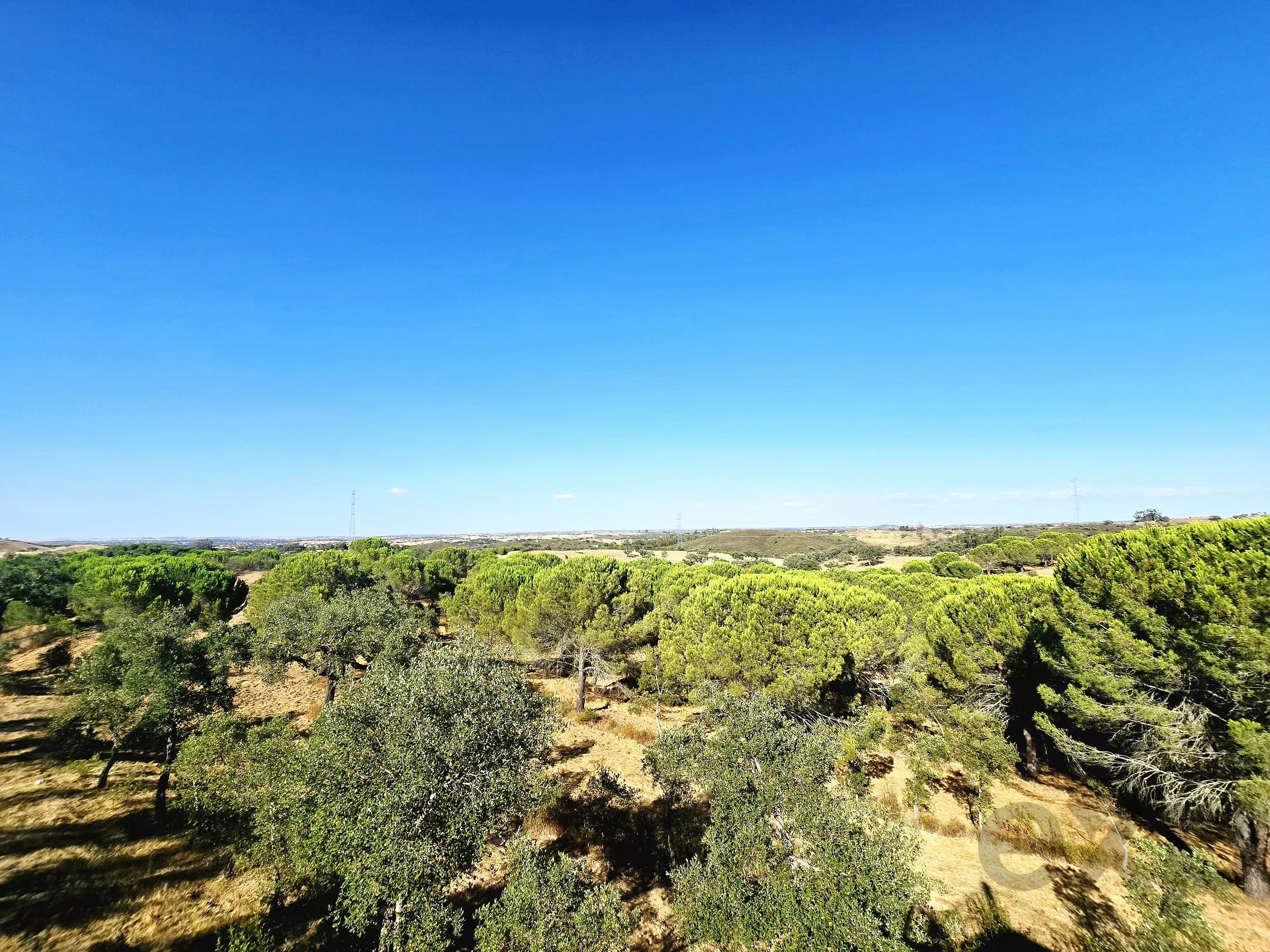 Your Sanctuary of Excellence: Exclusive Estate Over 10 ha with Panoramic Views 87216310 image 36