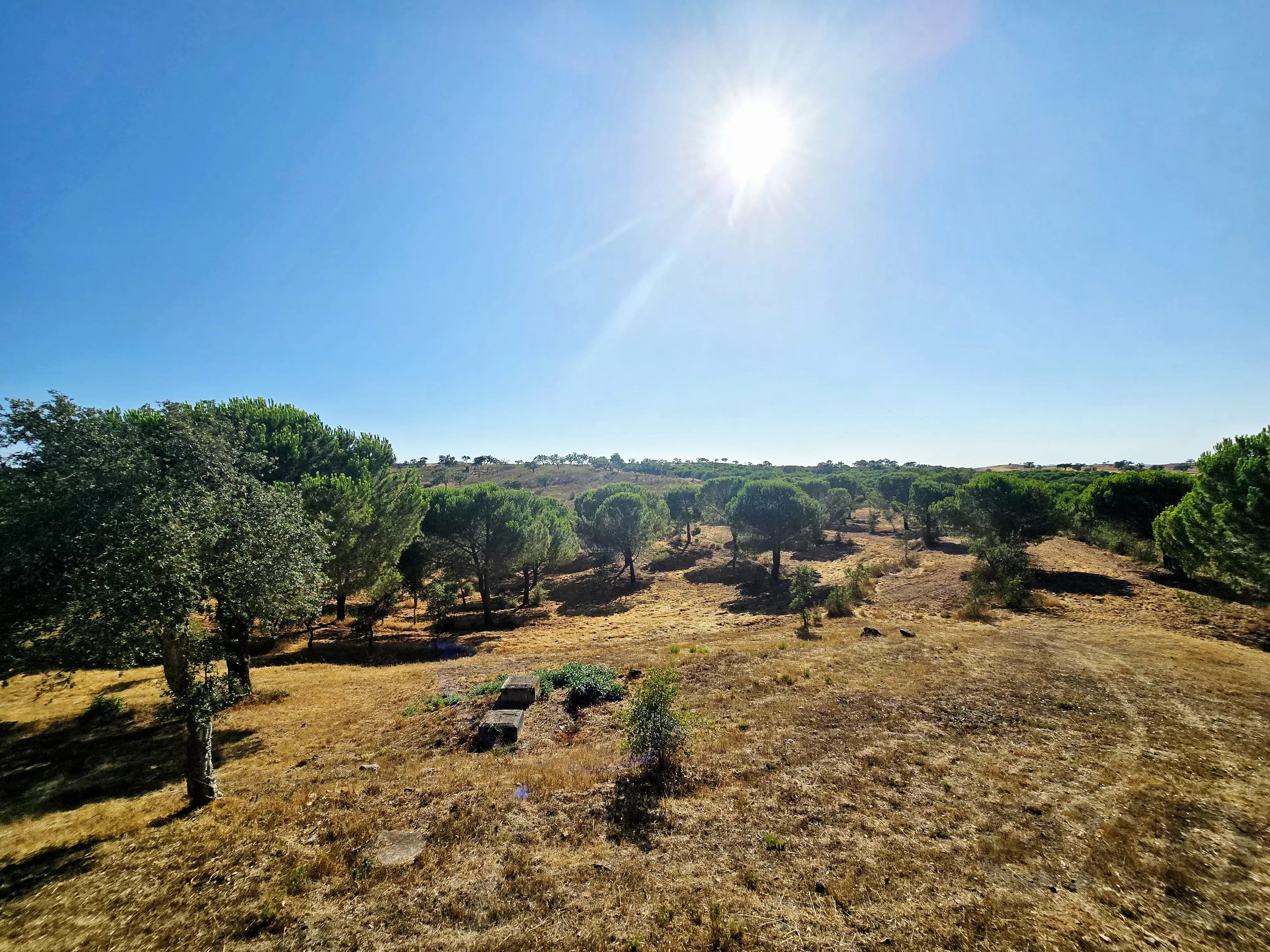 Your Sanctuary of Excellence: Exclusive Estate Over 10 ha with Panoramic Views 87216310 image 26