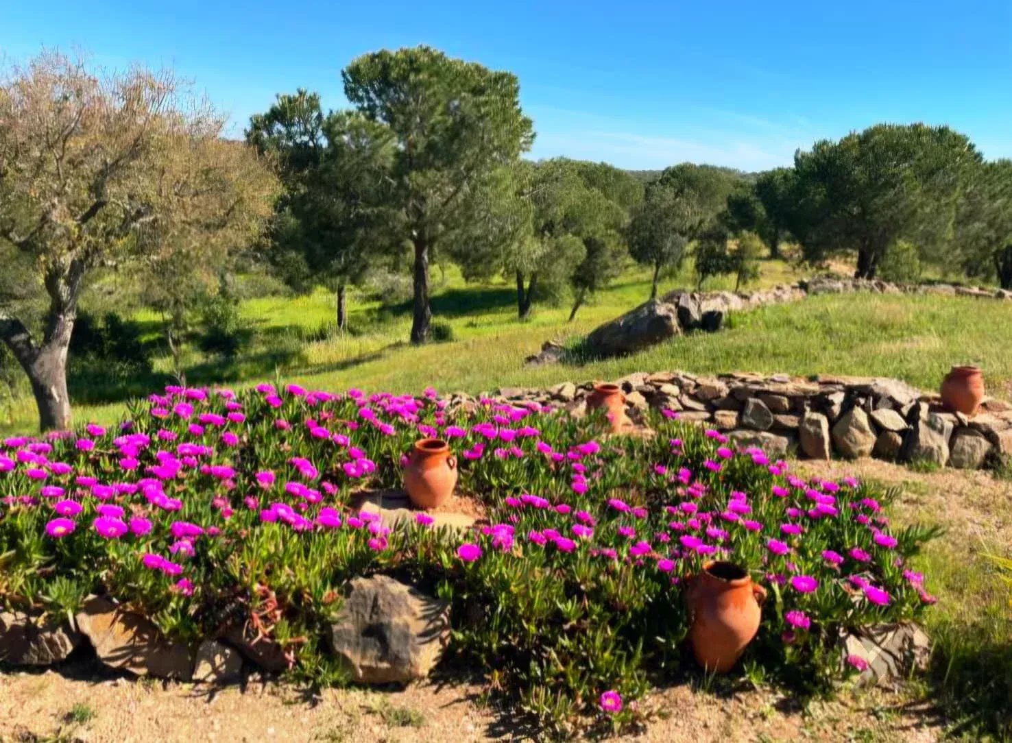 Your Sanctuary of Excellence: Exclusive Estate Over 10 ha with Panoramic Views 87216310 image 30