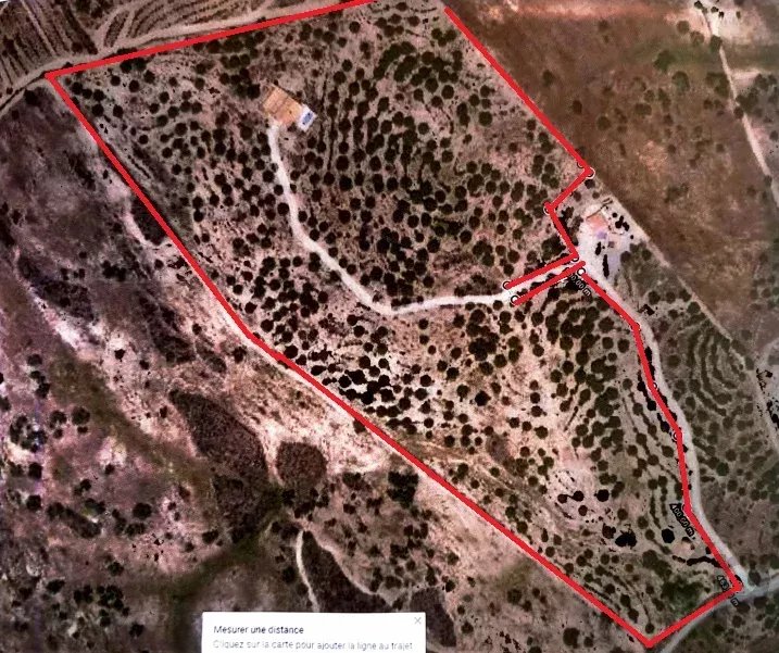 Your Sanctuary of Excellence: Exclusive Estate Over 10 ha with Panoramic Views 87216310 image 38