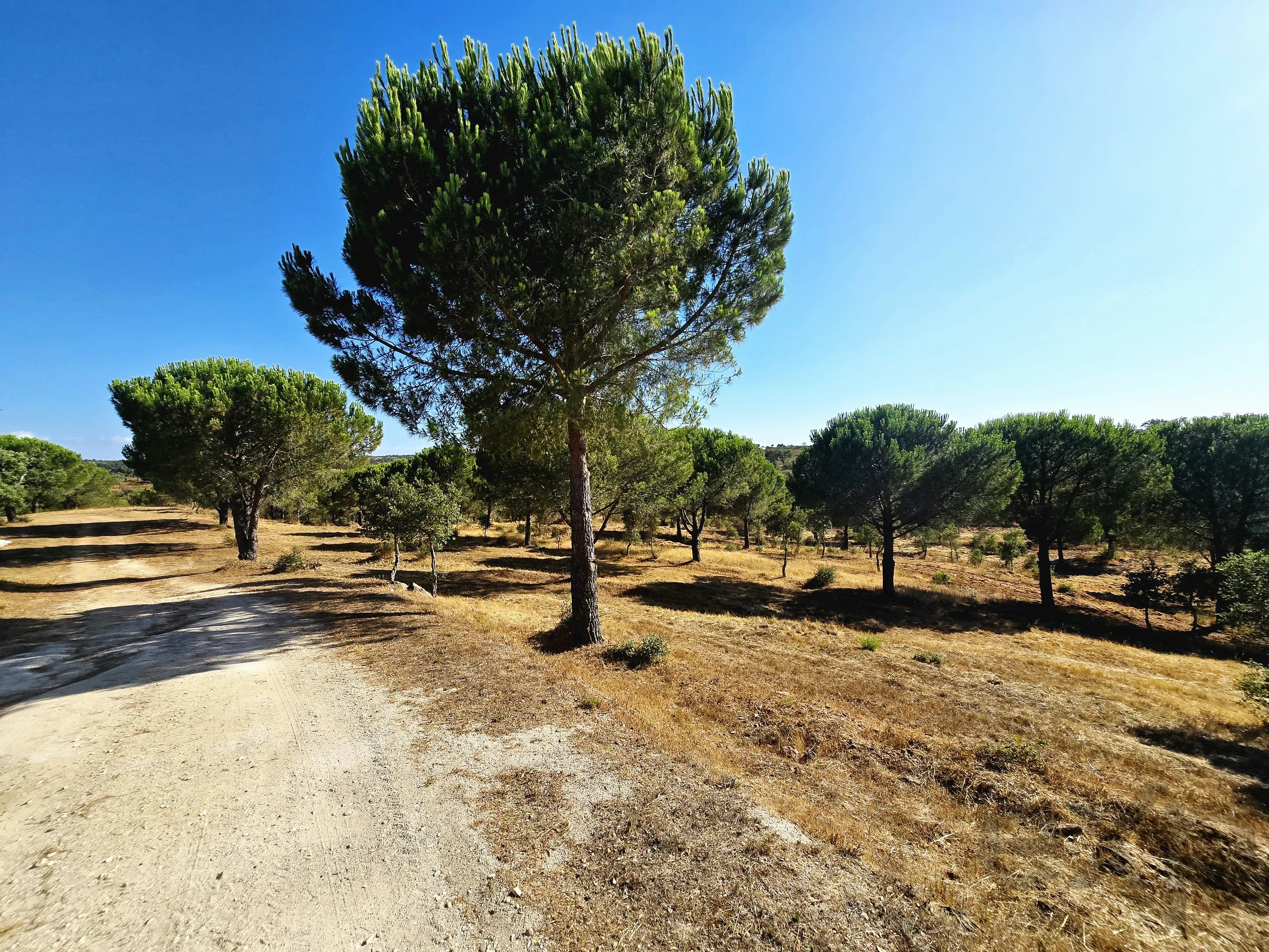 Your Sanctuary of Excellence: Exclusive Estate Over 10 ha with Panoramic Views 87216310 image 37