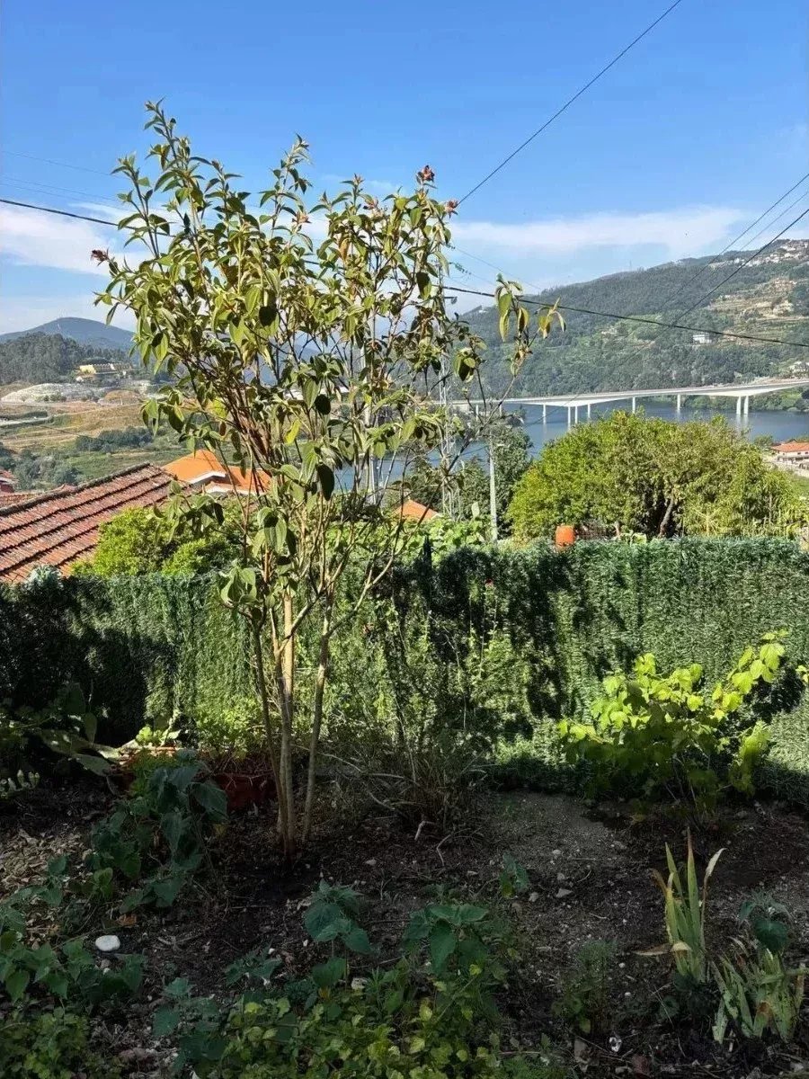 Moradia à venda em Alpendorada, Várzea e Torrão, 112 m²