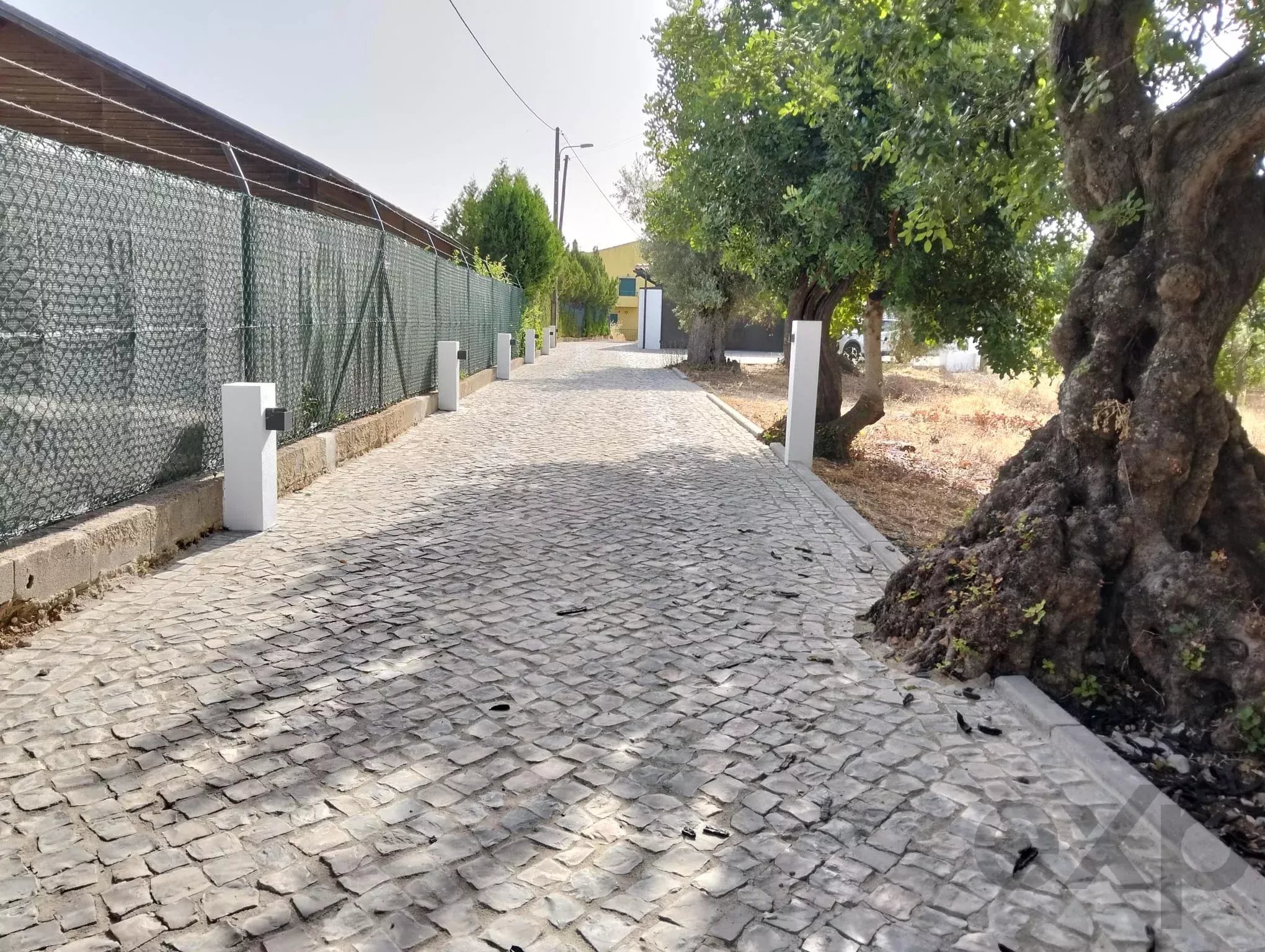 Ruína para Reabilitação ou Novo Projeto Habitacional em Moncarapacho - Olhão - Faro - Algarve