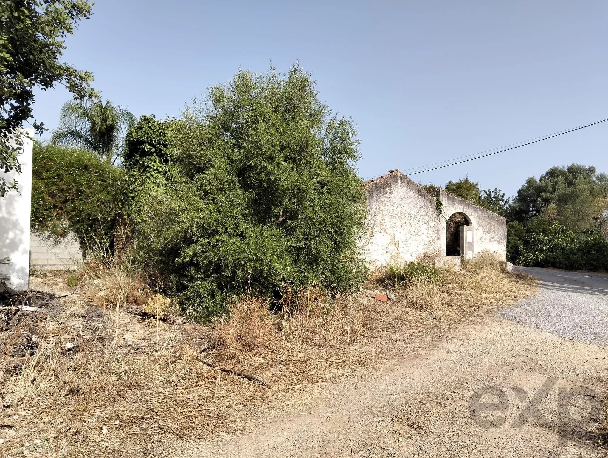 Ruína para Reabilitação ou Novo Projeto Habitacional em Moncarapacho - Olhão - Faro - Algarve