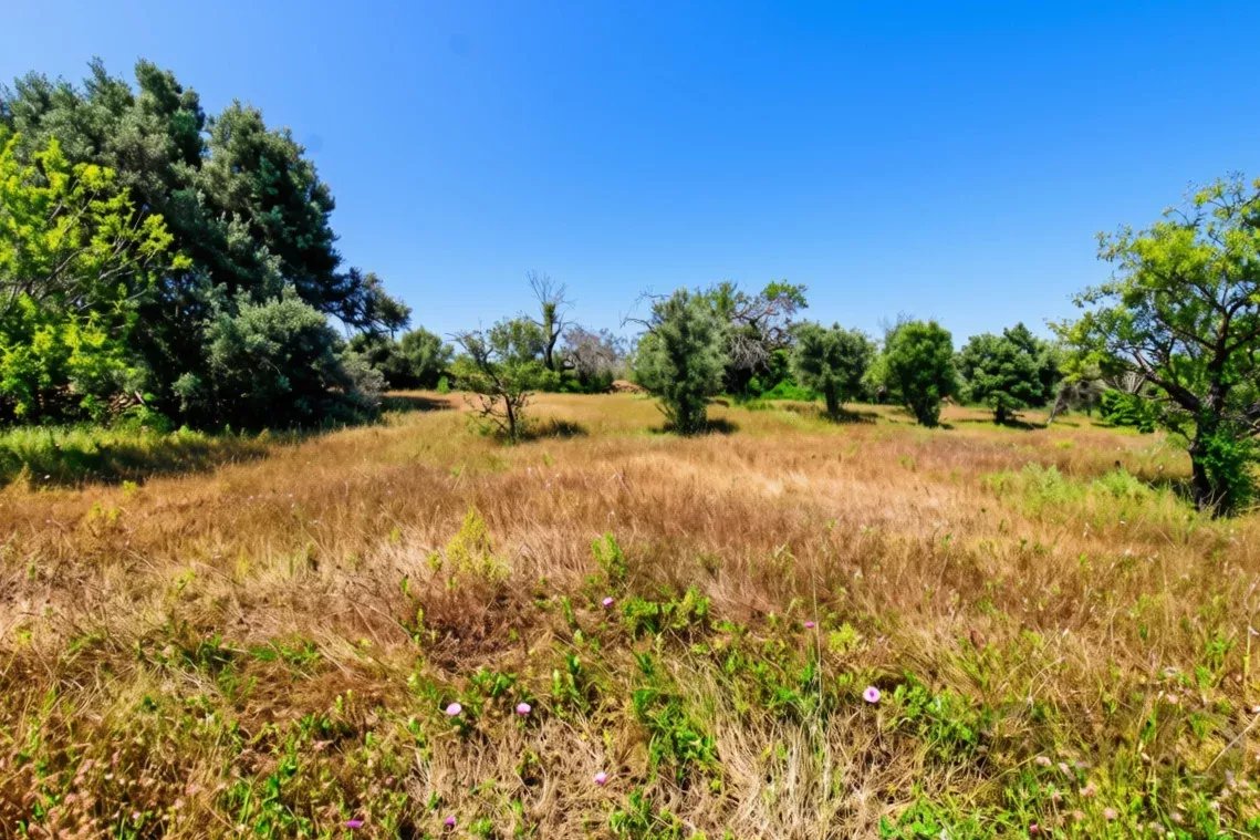 Terreno à venda em Faro (Sé e São Pedro), 11760 m²