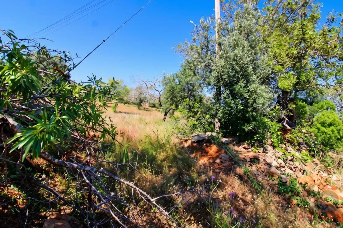 Terreno à venda em Faro (Sé e São Pedro), 11760 m²