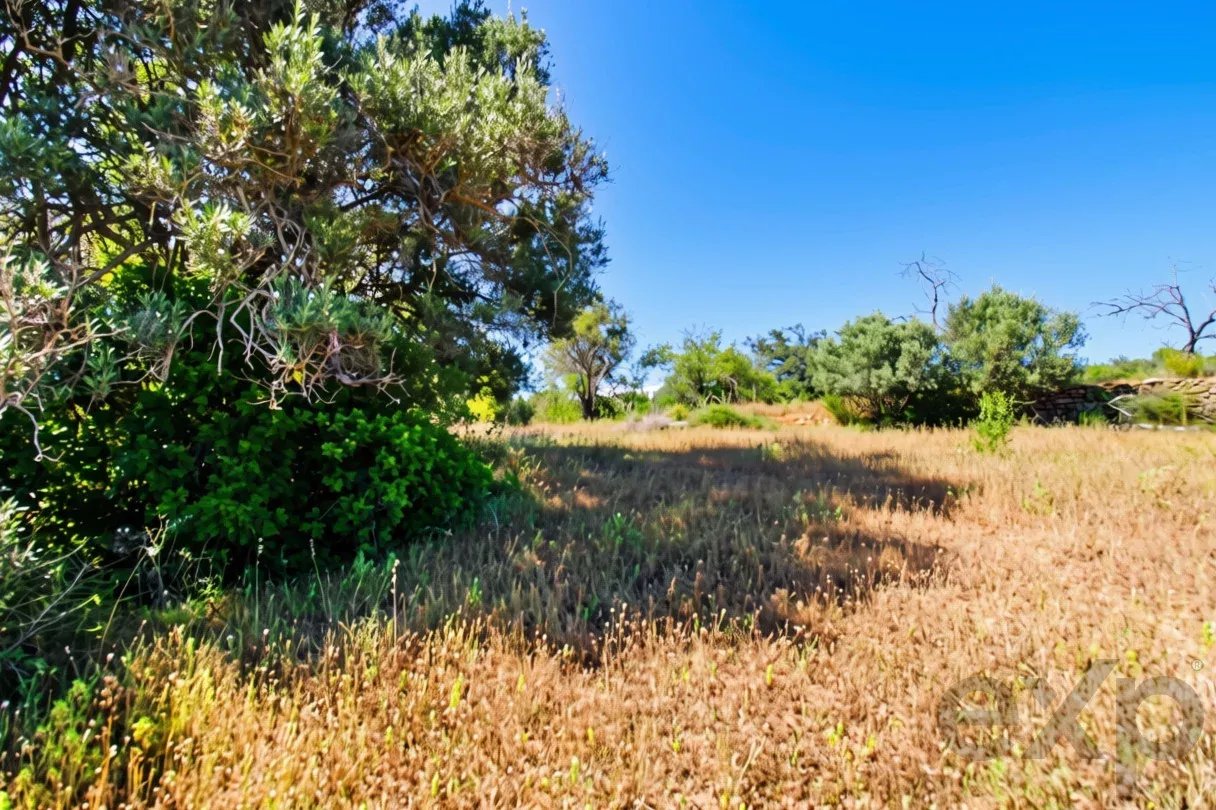 Terreno à venda em Faro (Sé e São Pedro), 11760 m²