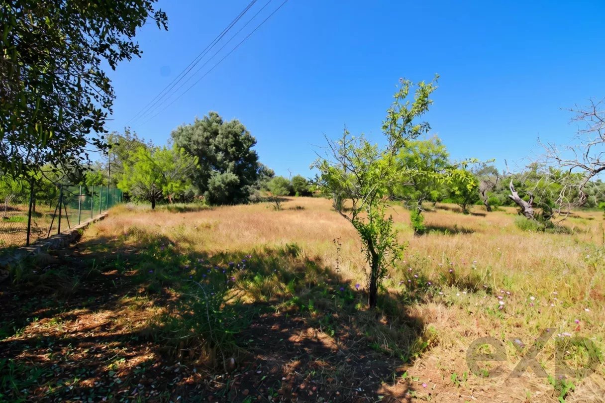 Terreno à venda em Faro (Sé e São Pedro), 11760 m²