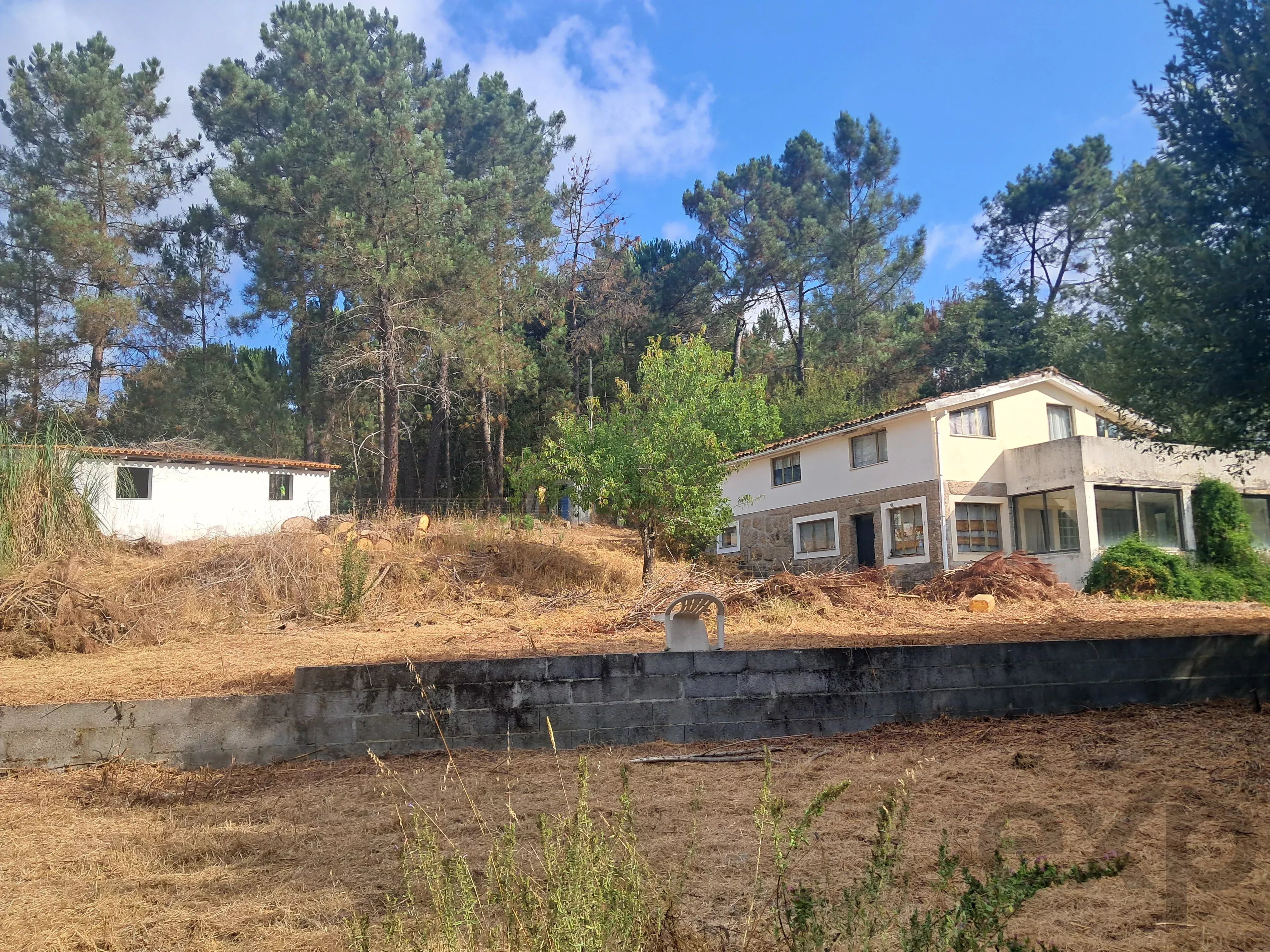 Casa de arrecadação T2 com 3.000 m² de terreno e total privacidade, a apenas 2 kms de Tábua
