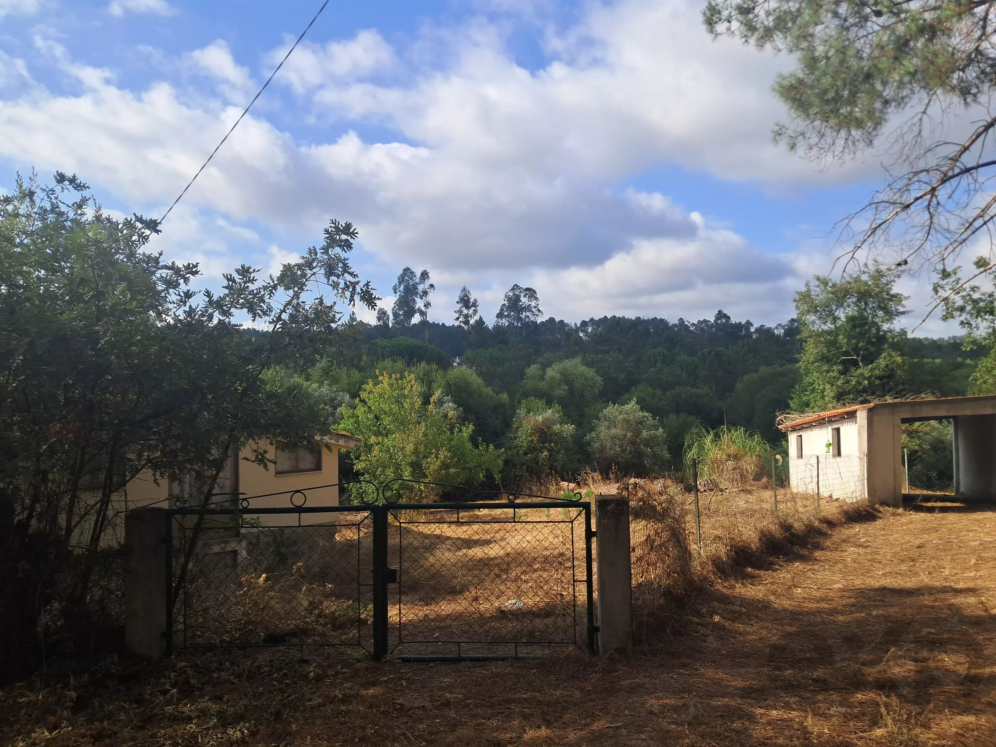 Casa de arrecadação T2 com 3.000 m² de terreno e total privacidade, a apenas 2 kms de Tábua