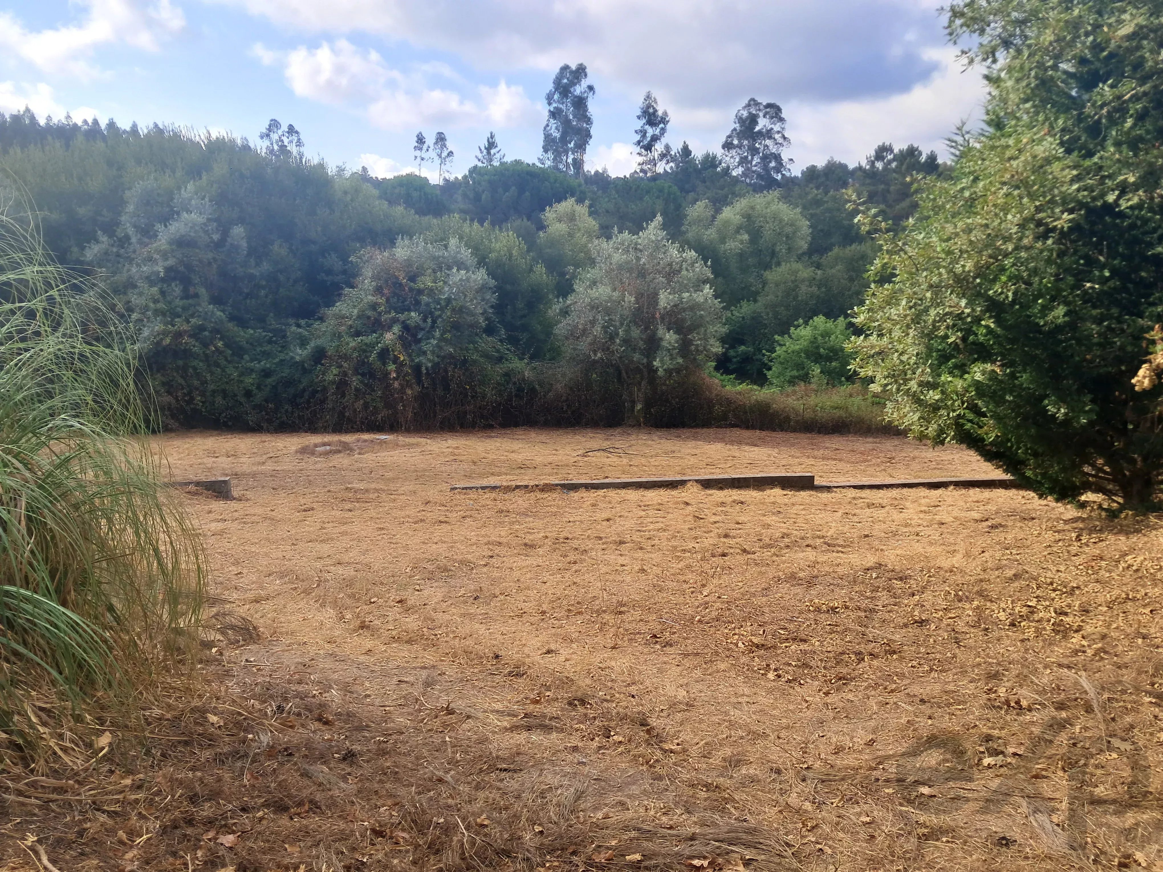 Casa de arrecadação T2 com 3.000 m² de terreno e total privacidade, a apenas 2 kms de Tábua