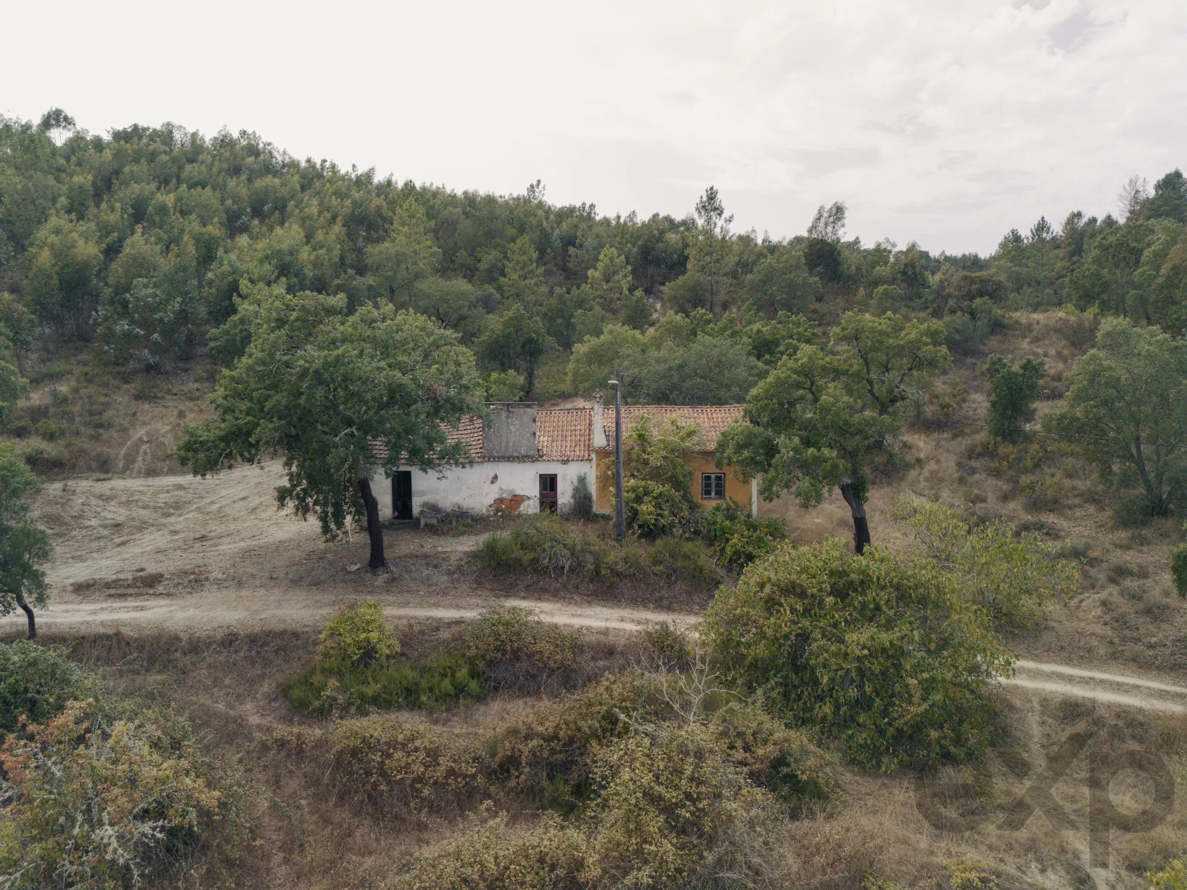 Quinta Florestal de 12,5 Hectares com Casa de Lavrador Centenária em Bemposta