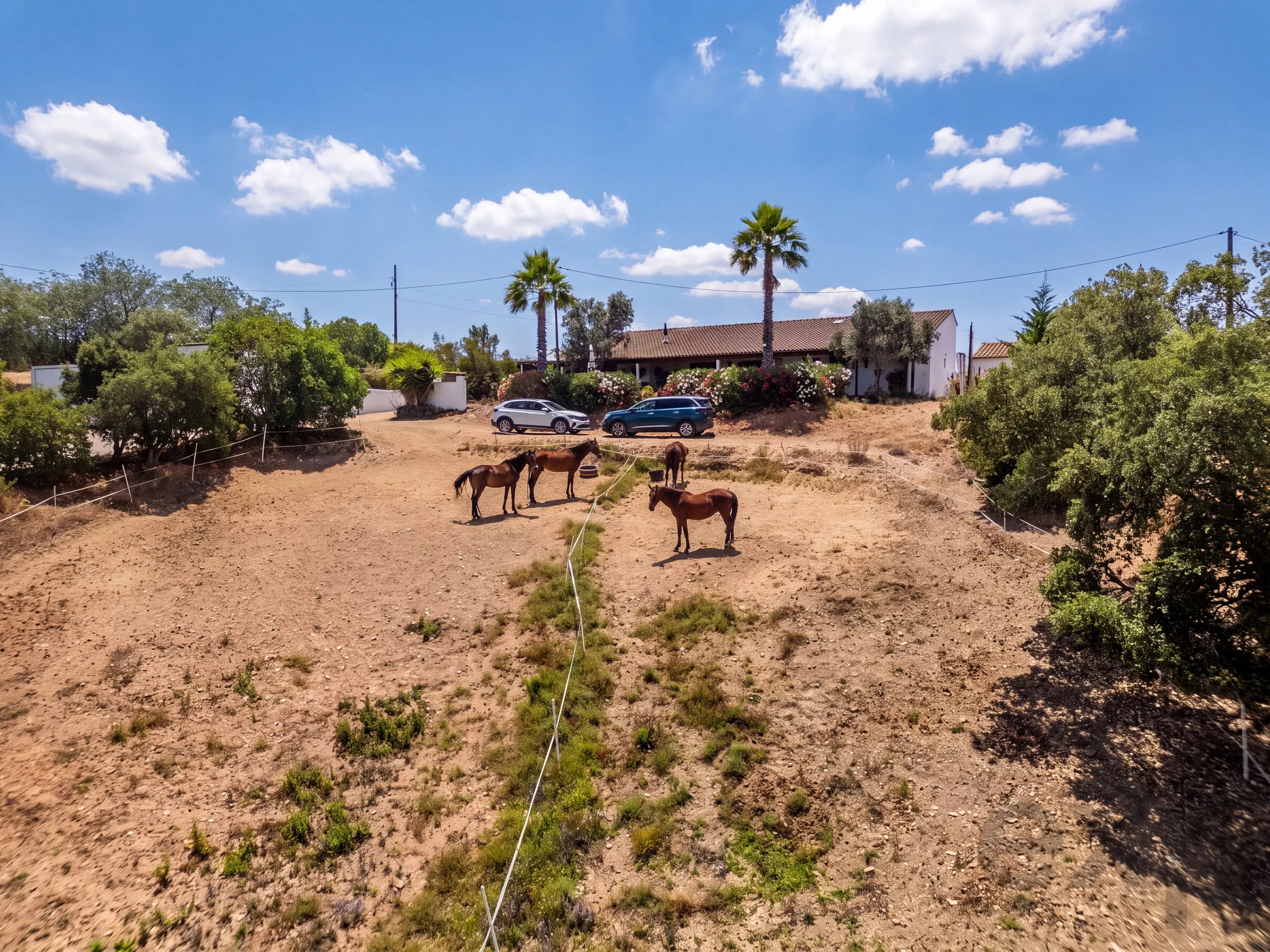 Lovely Family House with Equine Facilities, Located on 5.7 Acres 87244423 image 53