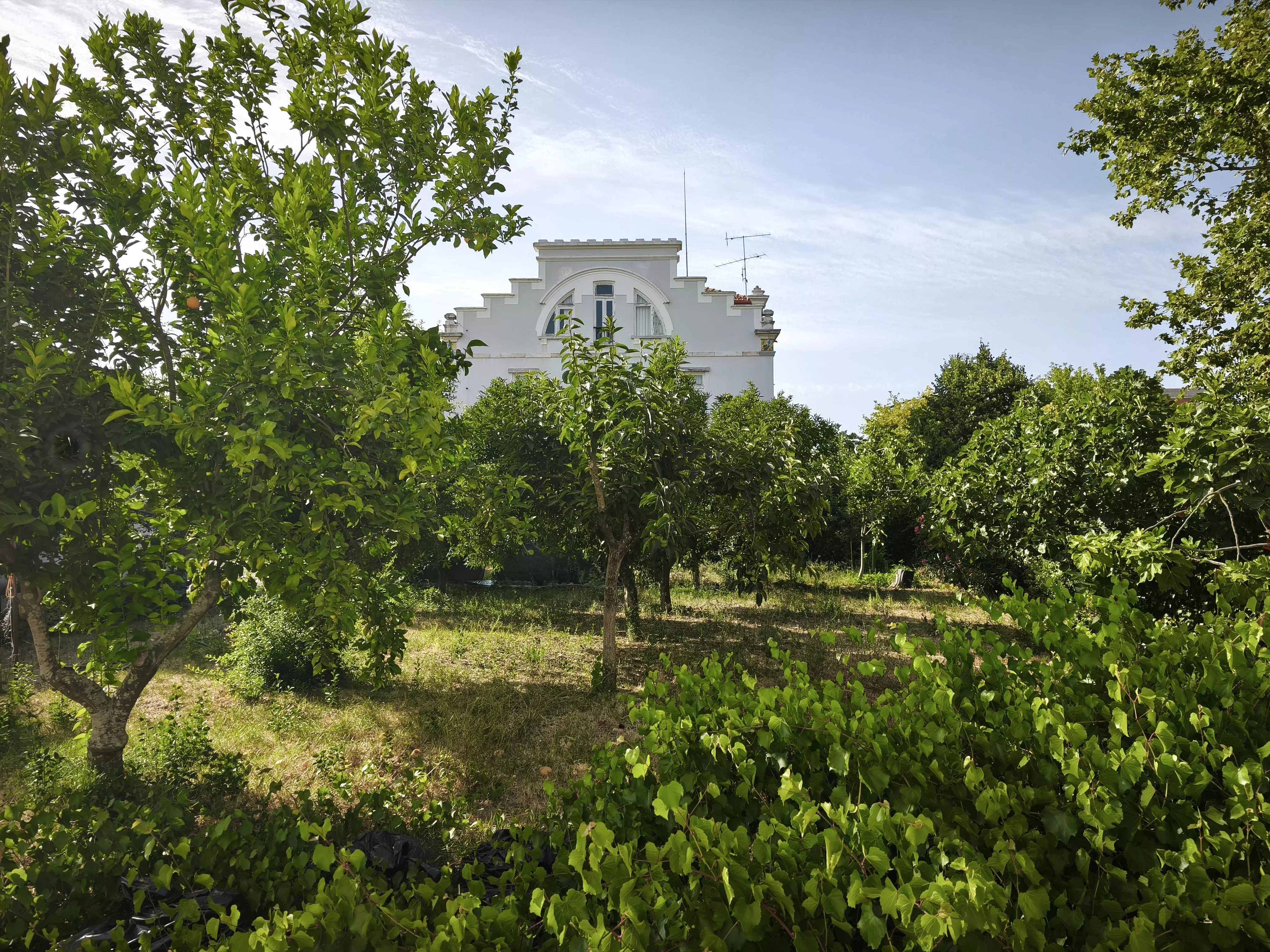 Palace in Estremoz 87246087 image 16