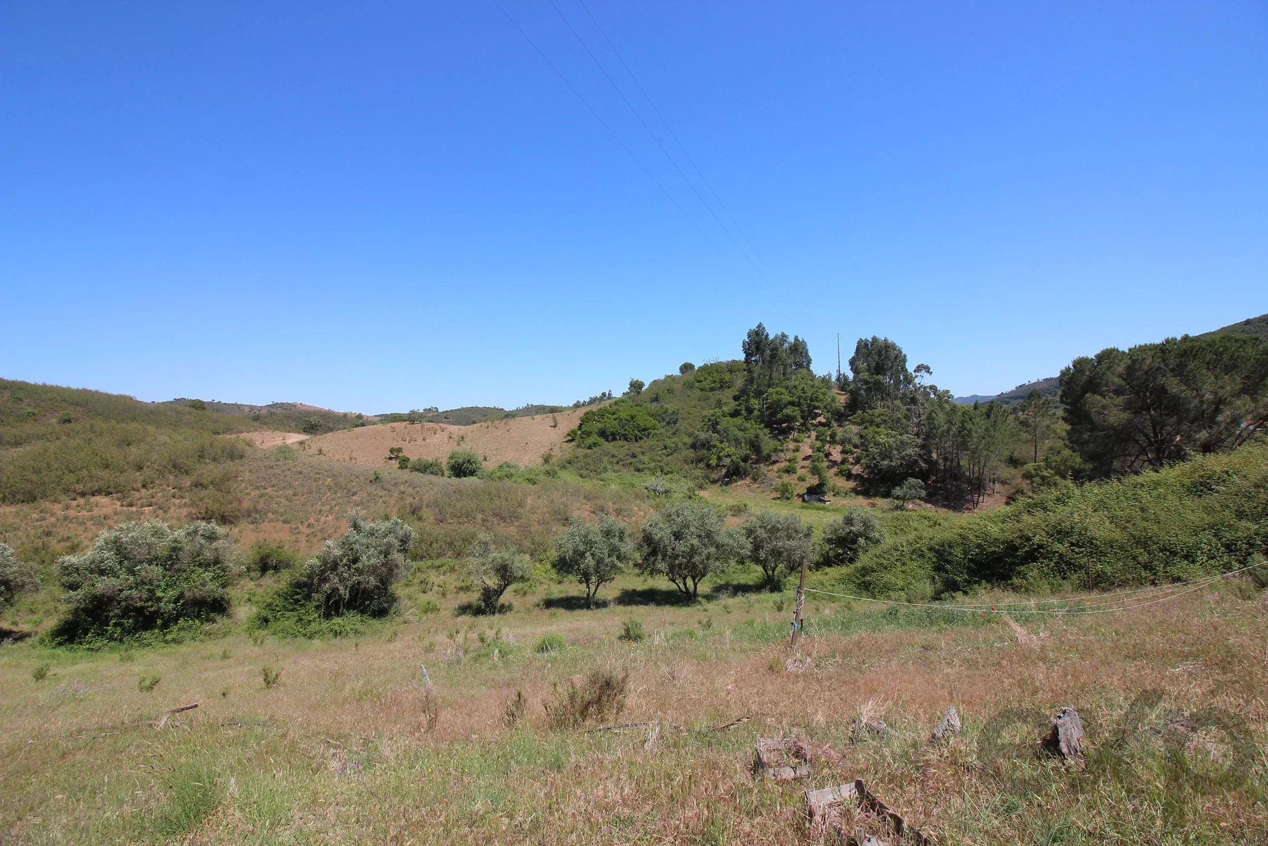 Traditional Farmhouse with Exceptional Equine Potential, São Marcos da Serra 87246431 image 27