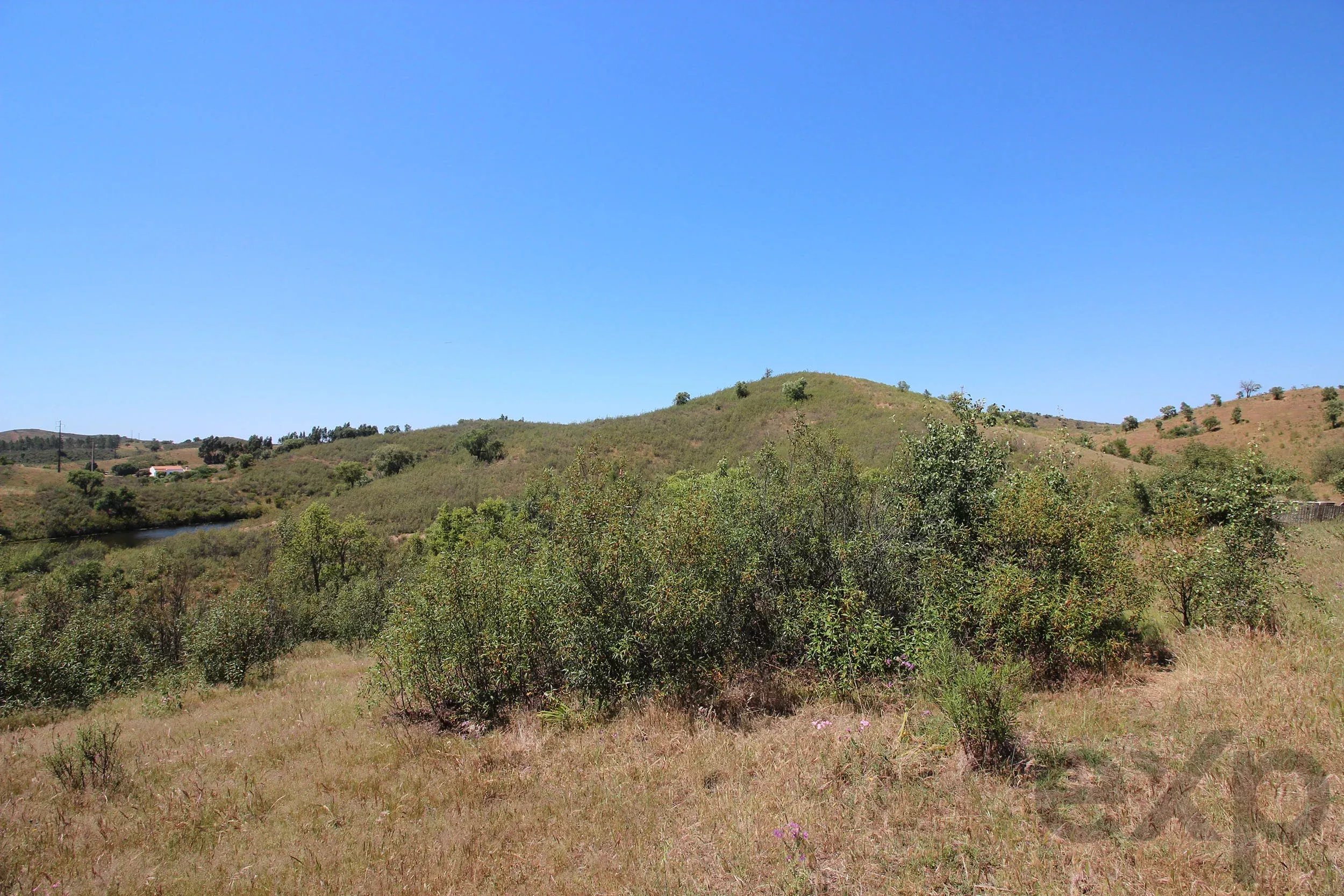 Traditional Farmhouse with Exceptional Equine Potential, São Marcos da Serra 87246431 image 22