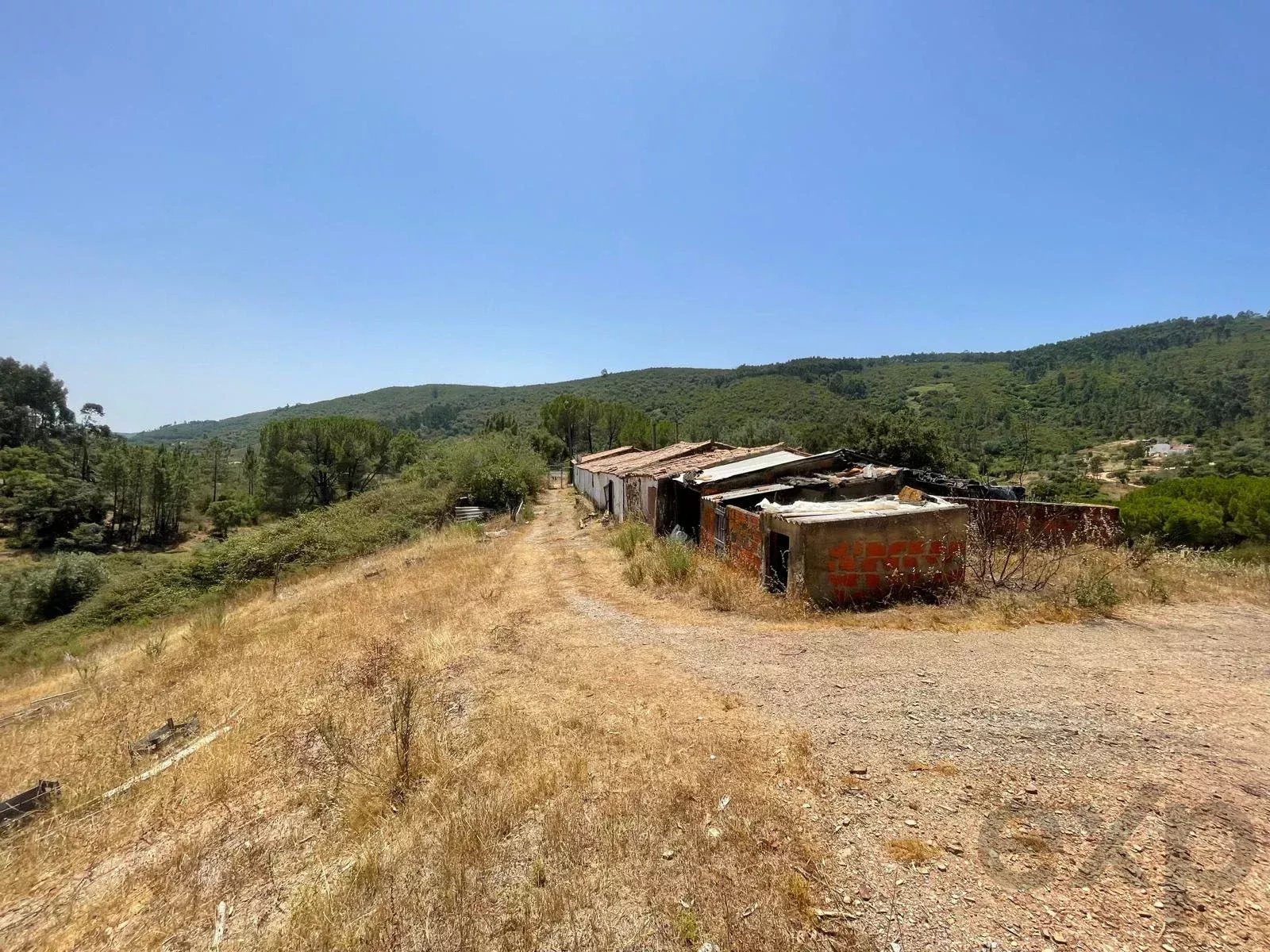 Traditional Farmhouse with Exceptional Equine Potential, São Marcos da Serra 87246431 image 31