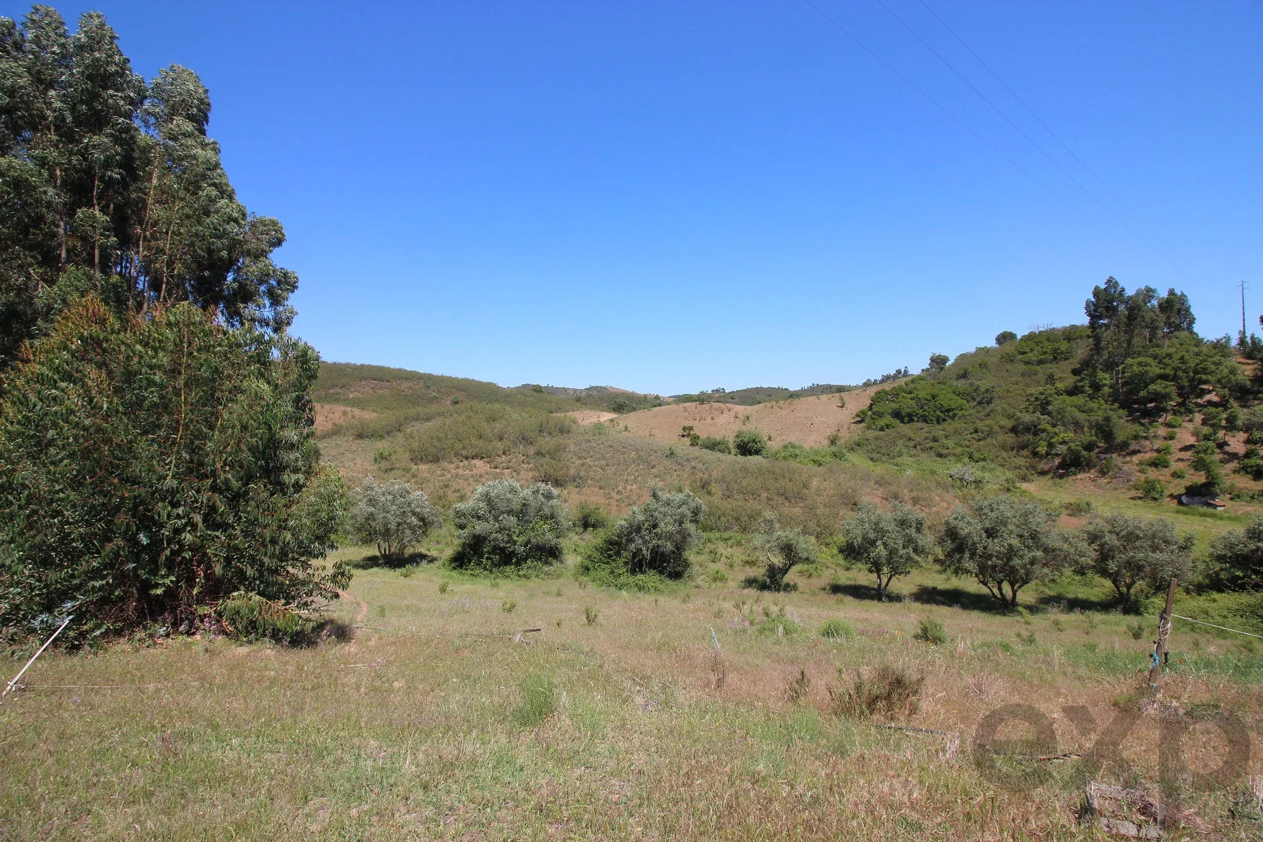 Traditional Farmhouse with Exceptional Equine Potential, São Marcos da Serra 87246431 image 26