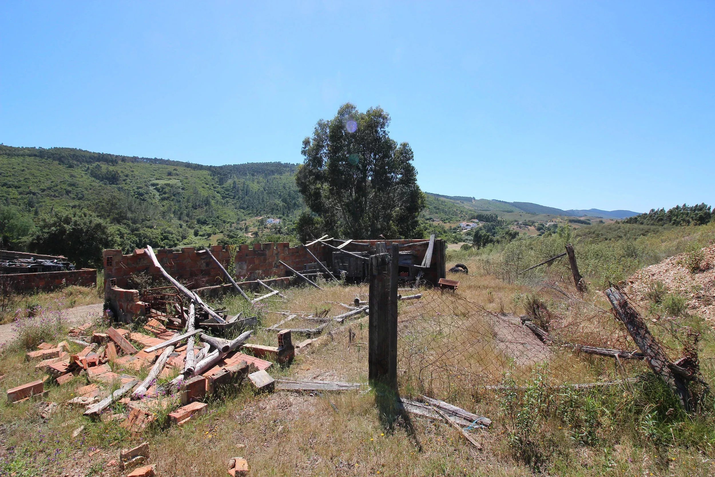 Traditional Farmhouse with Exceptional Equine Potential, São Marcos da Serra 87246431 image 29