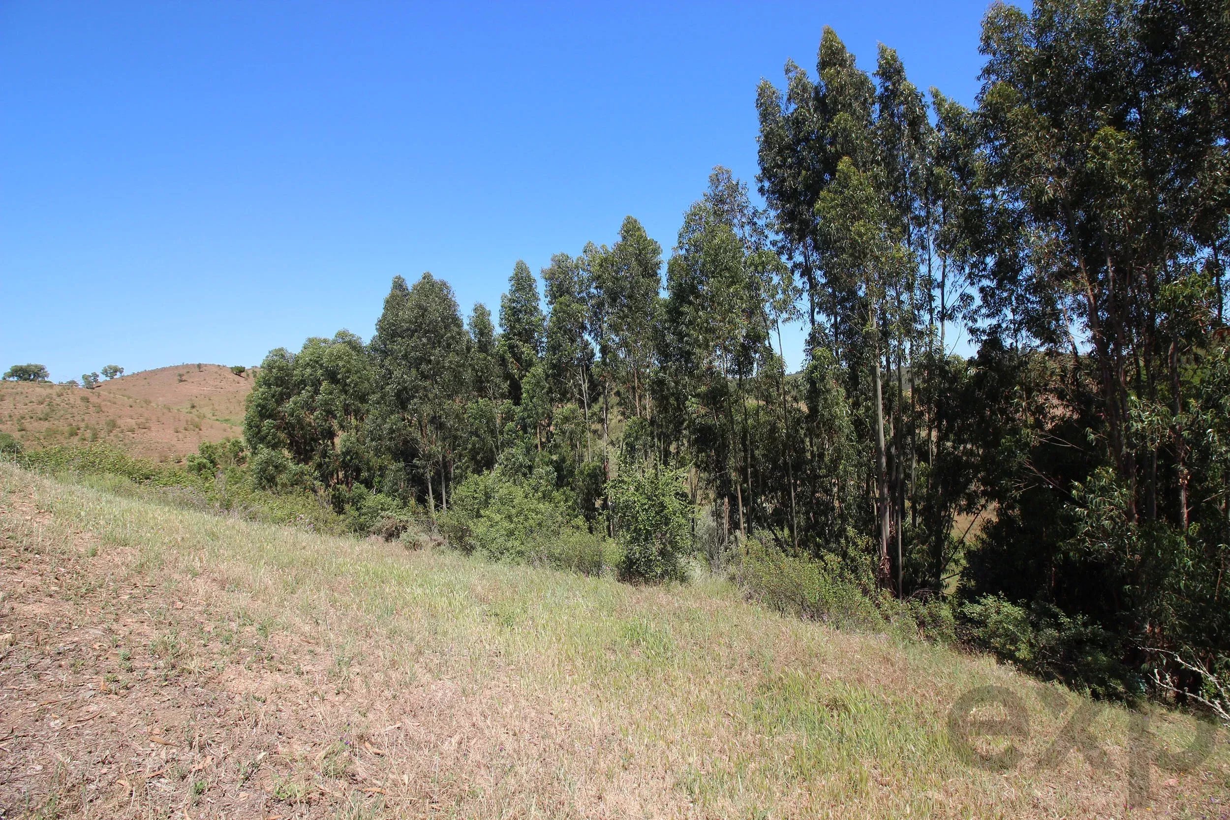 Traditional Farmhouse with Exceptional Equine Potential, São Marcos da Serra 87246431 image 25