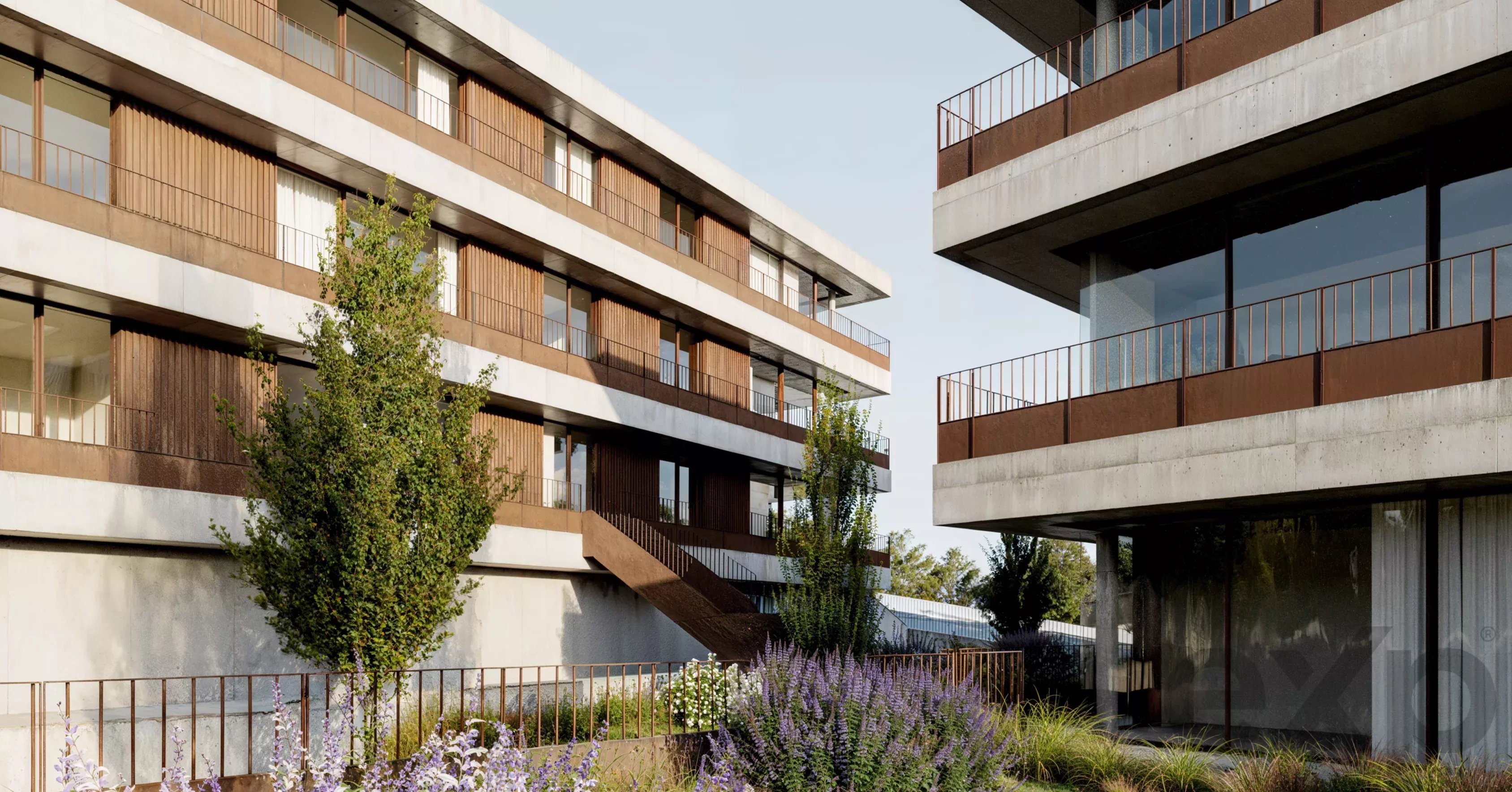 Mira Rio: Modernidade, Luz Natural e Elegância em Vila Meã