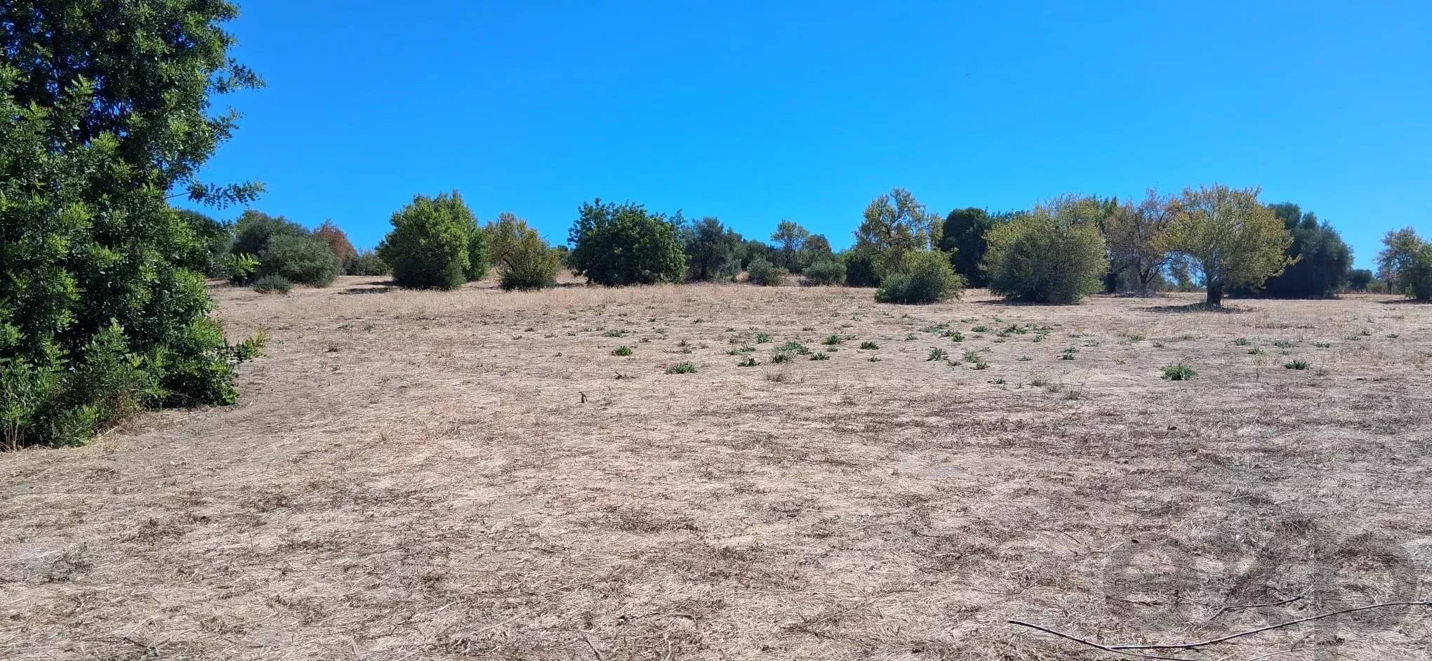 Terreno para Desenvolvimento Urbanístico – Estiramantens, Tavira
