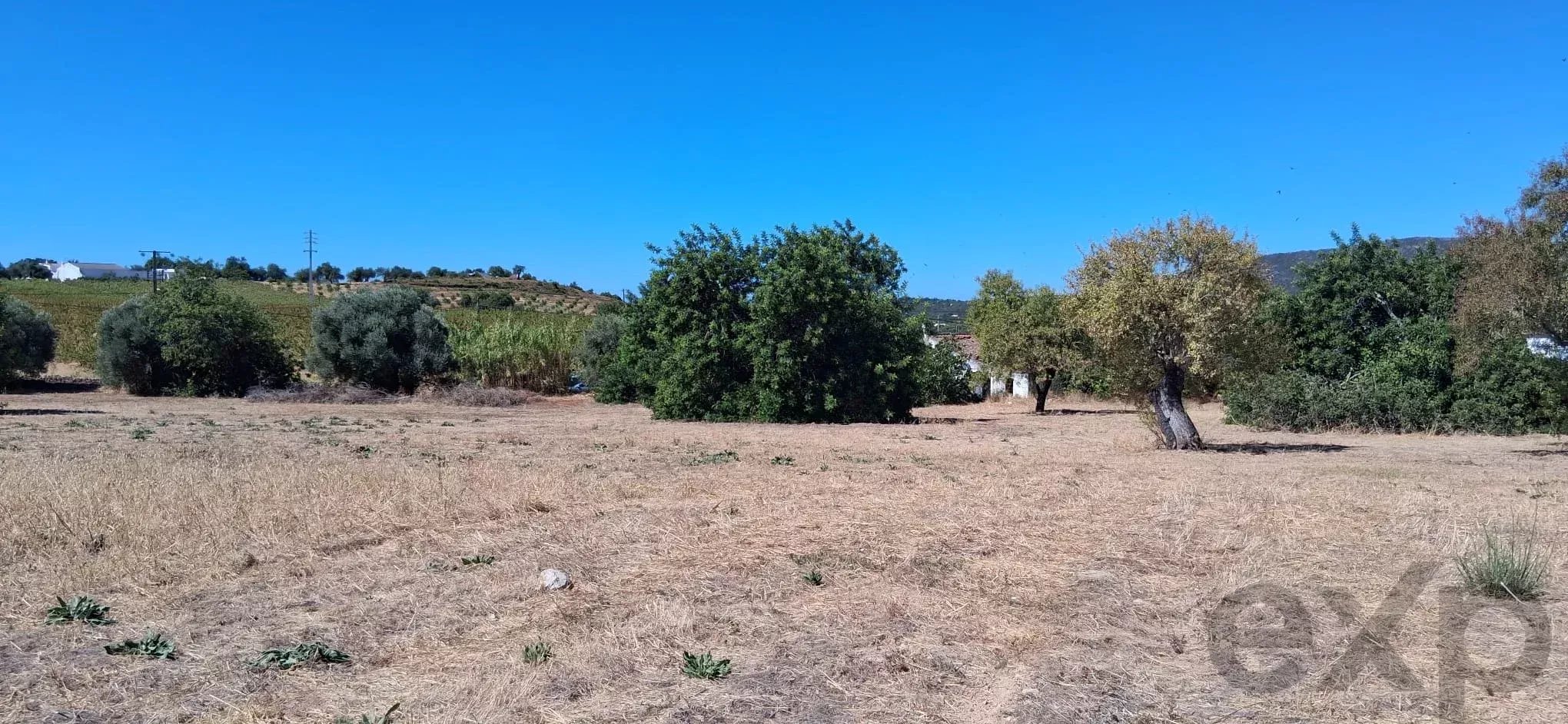Terreno para Desenvolvimento Urbanístico – Estiramantens, Tavira