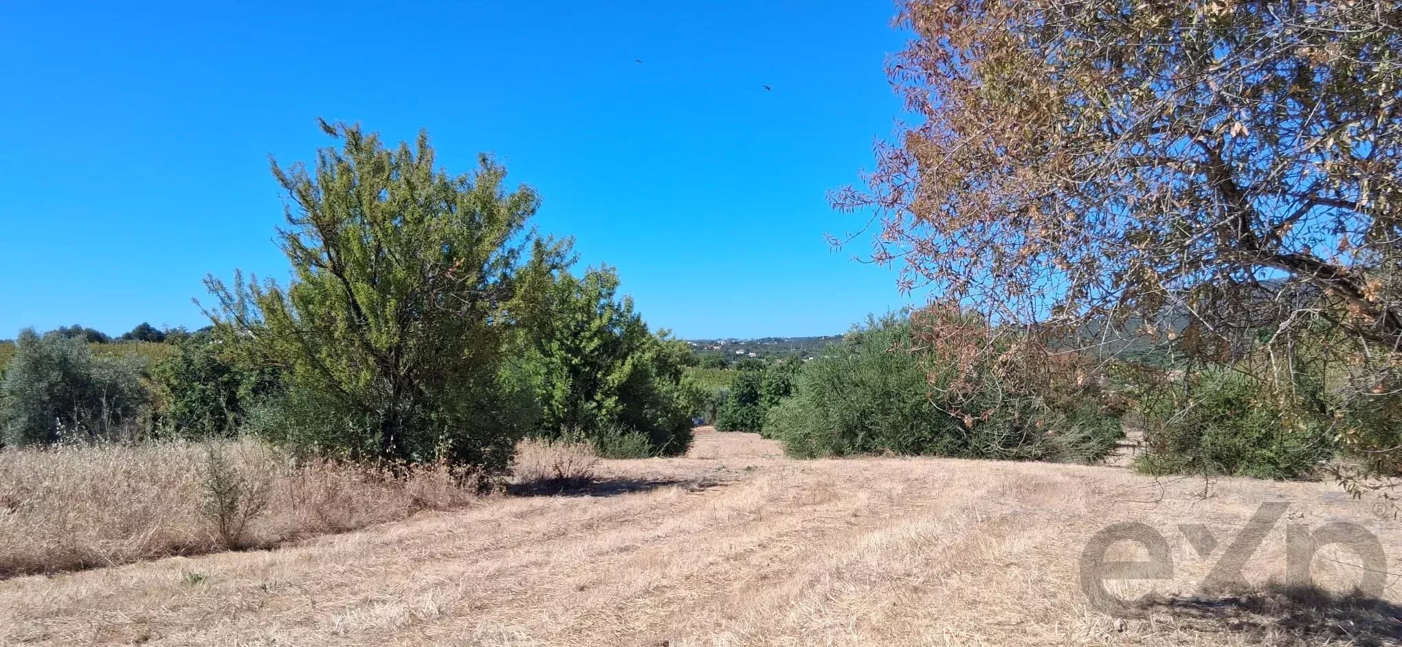 Terreno para Desenvolvimento Urbanístico – Estiramantens, Tavira