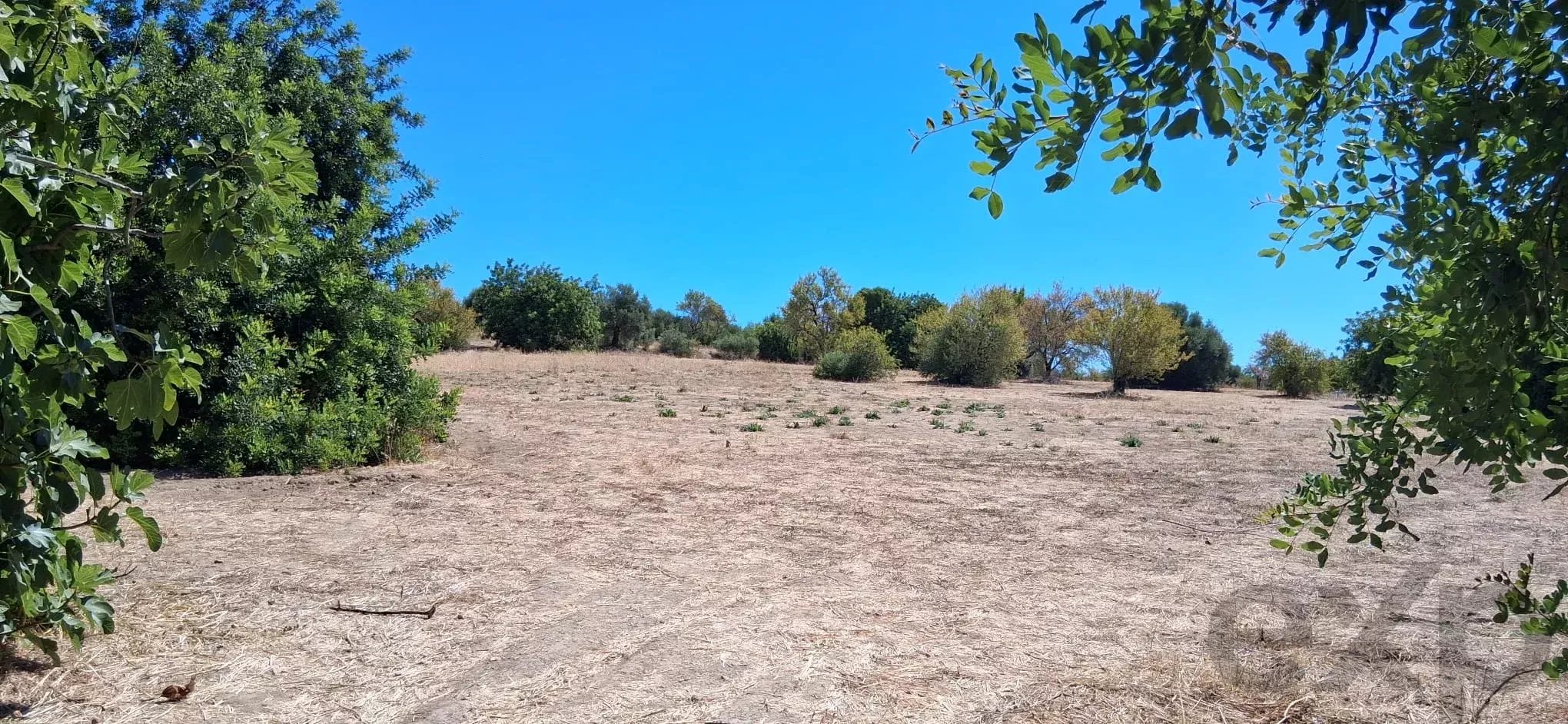 Terreno para Desenvolvimento Urbanístico – Estiramantens, Tavira
