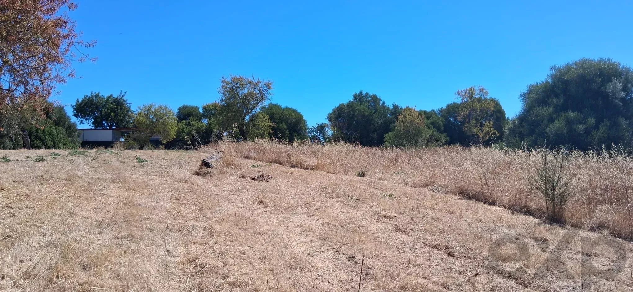 Terreno para Desenvolvimento Urbanístico – Estiramantens, Tavira