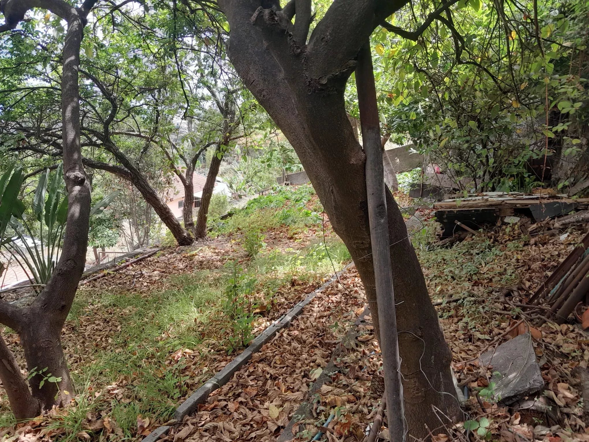 Moradia à venda em Funchal, 143 m²